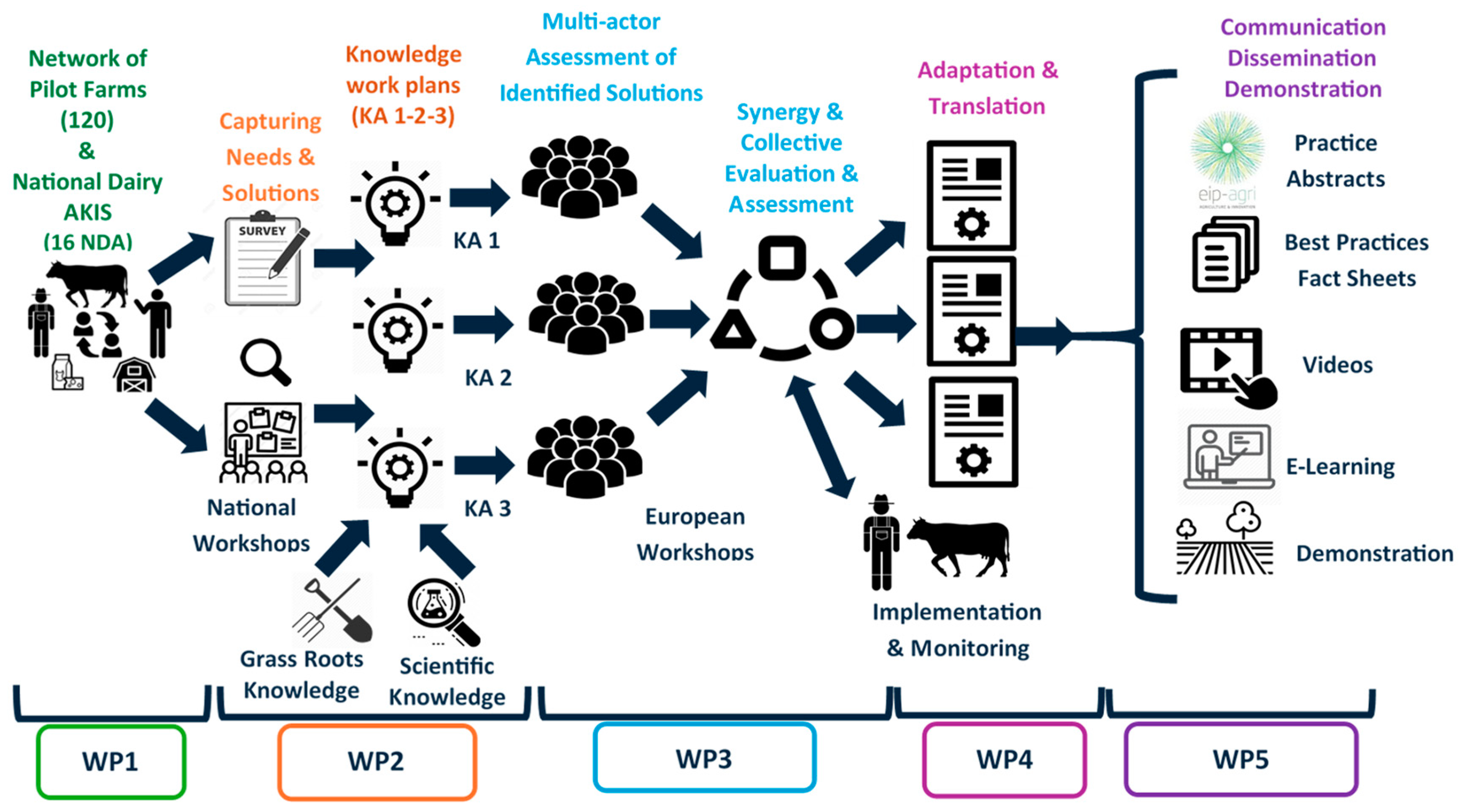 Animals 14 02991 g002