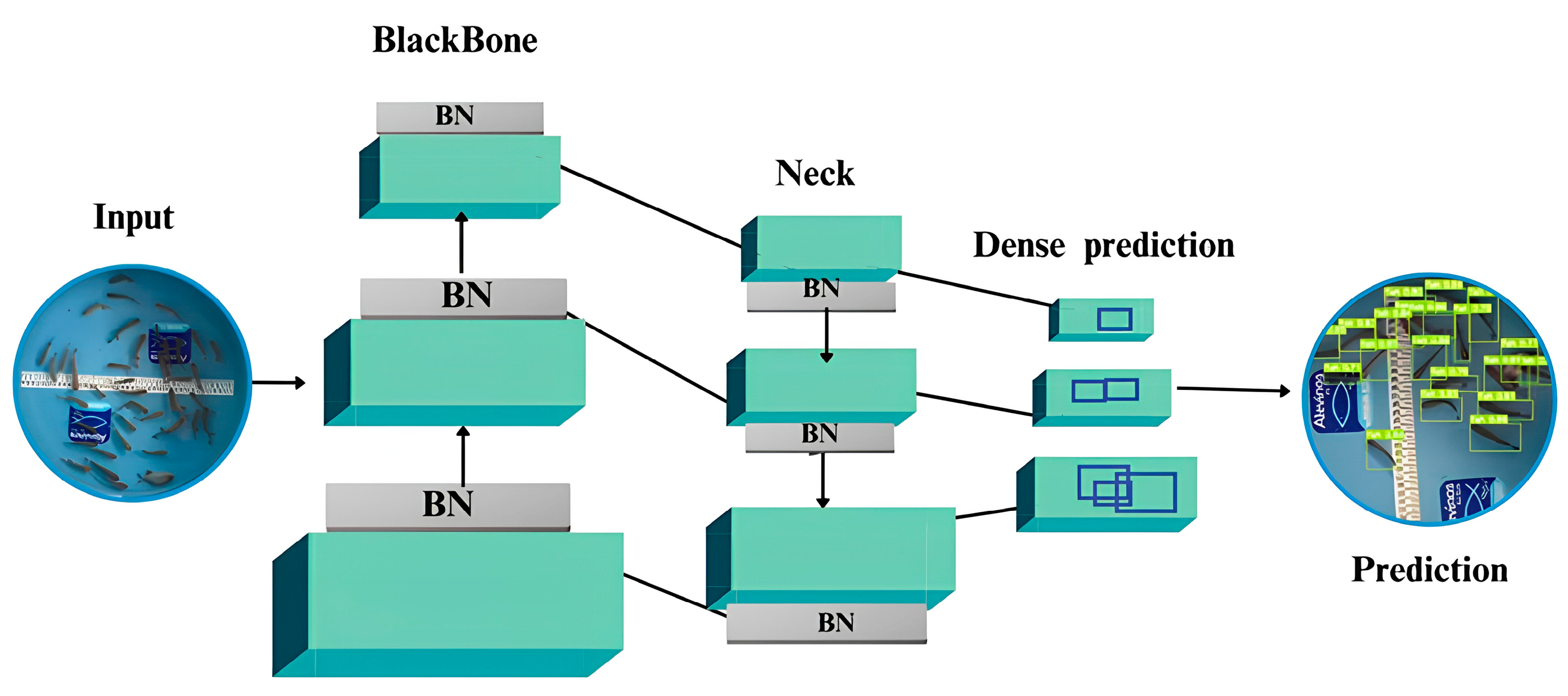 Animals 14 02999 g004 Animals 14 02999 g004
