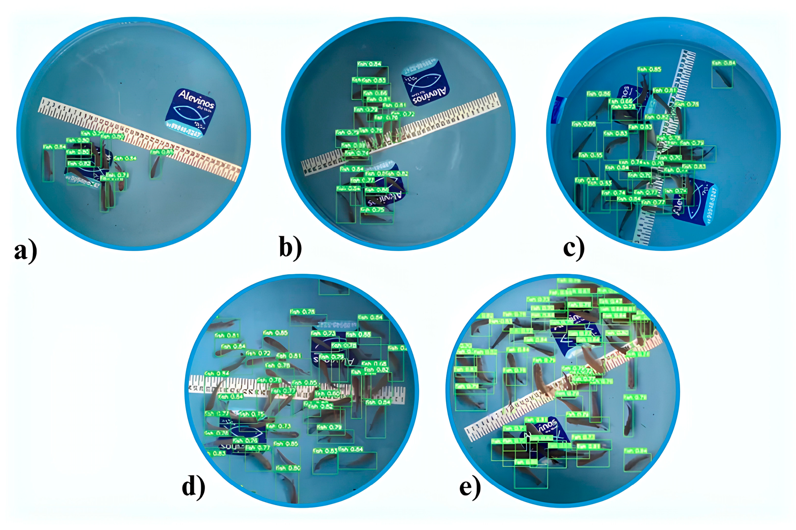 Animals 14 02999 g008 Animals 14 02999 g008