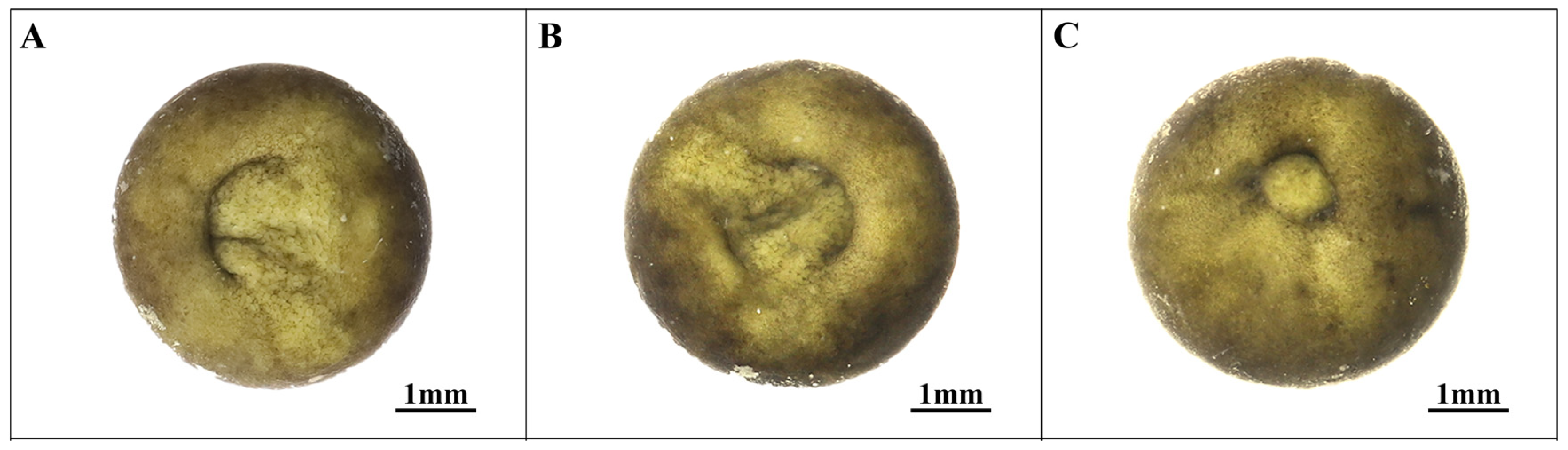 Animals 14 03007 g003