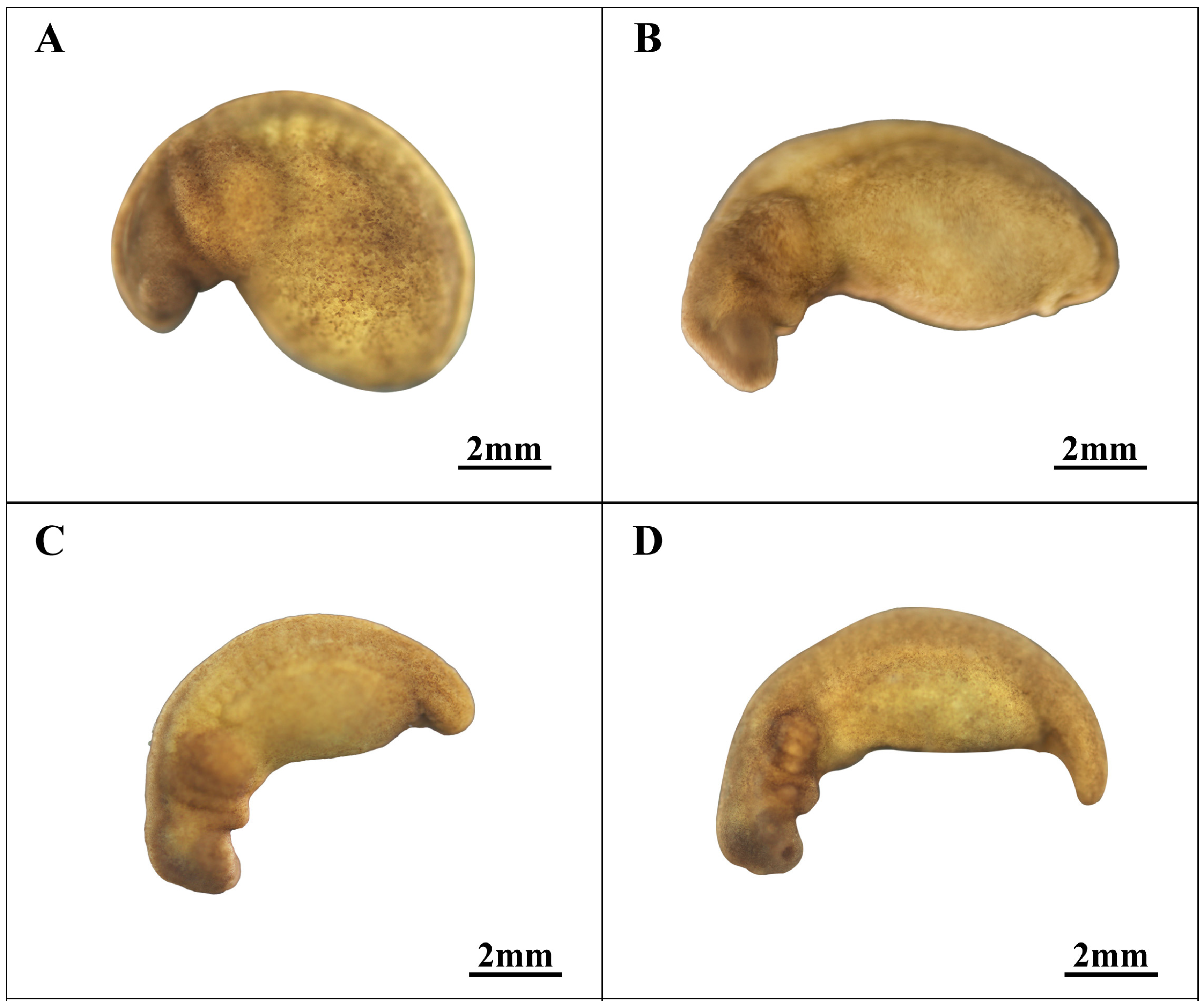 Animals 14 03007 g006