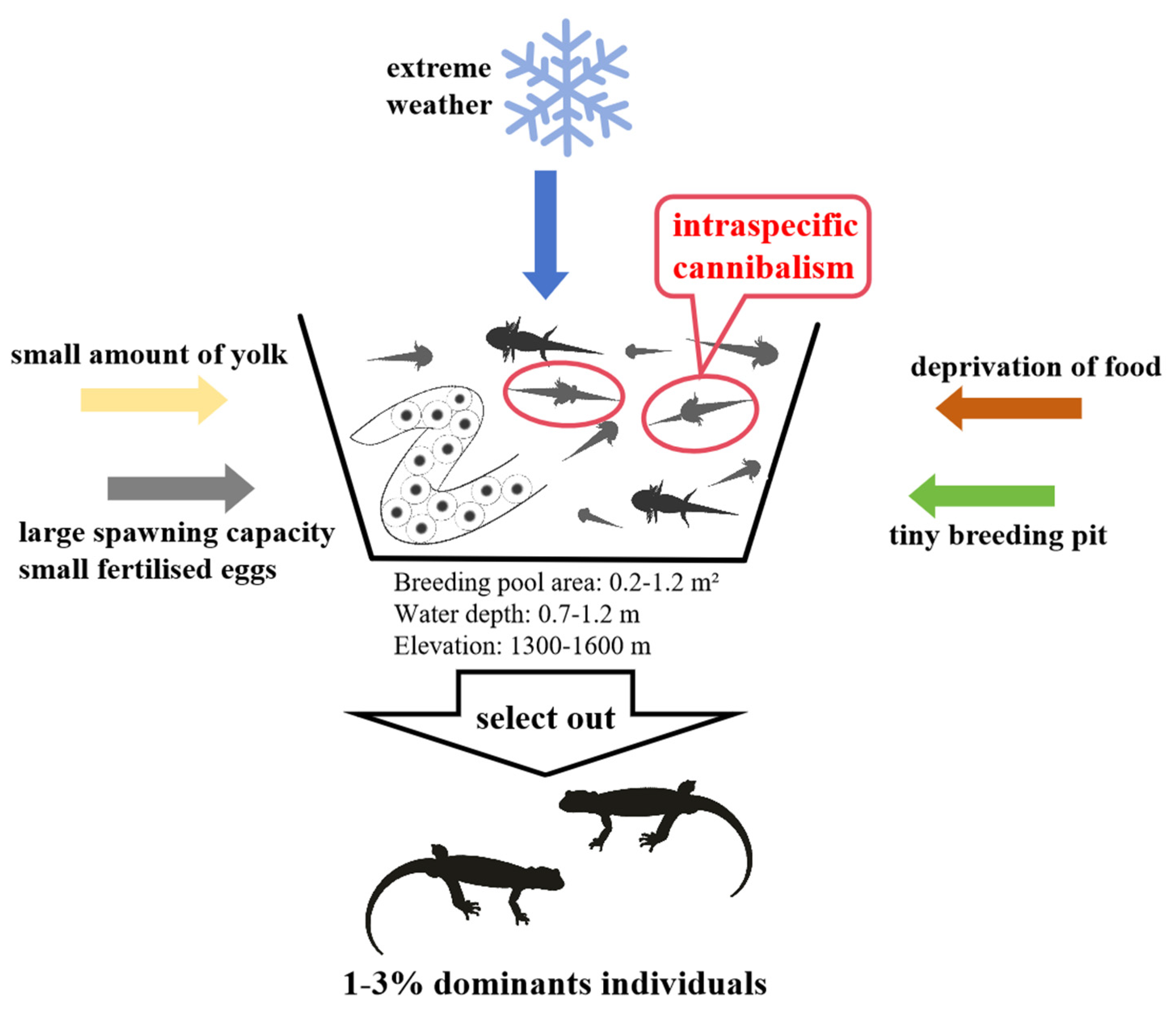 Animals 14 03007 g009