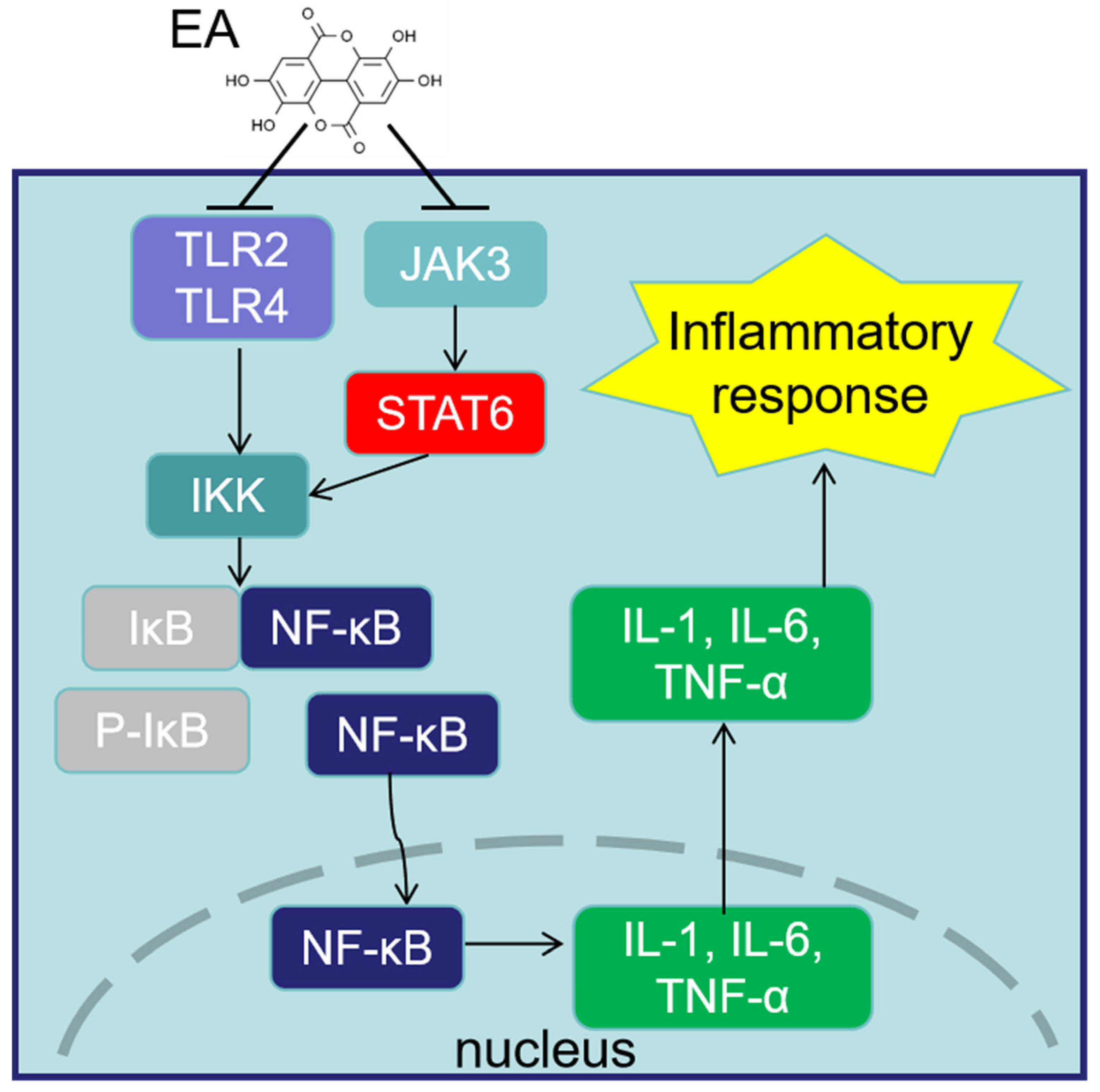 Animals 14 03009 g002