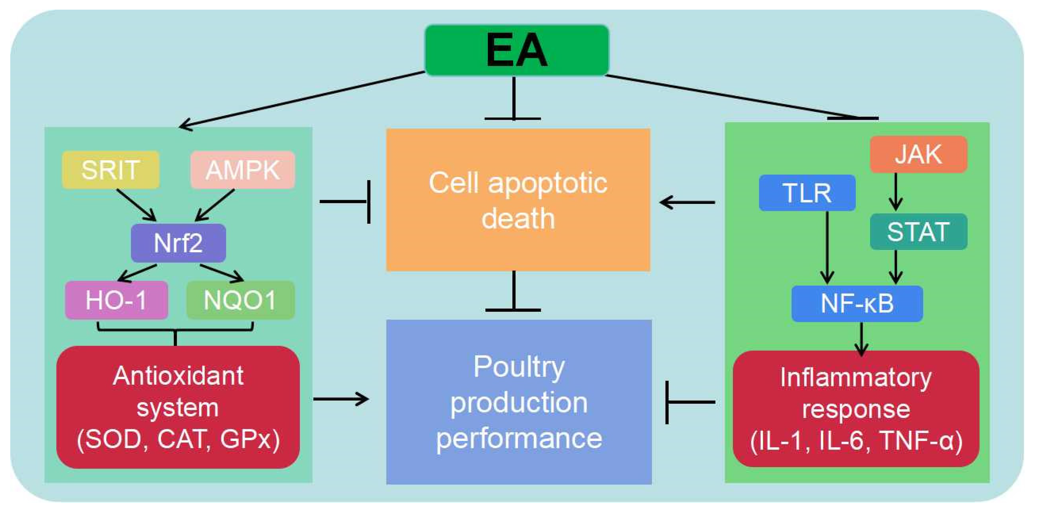 Animals 14 03009 g003
