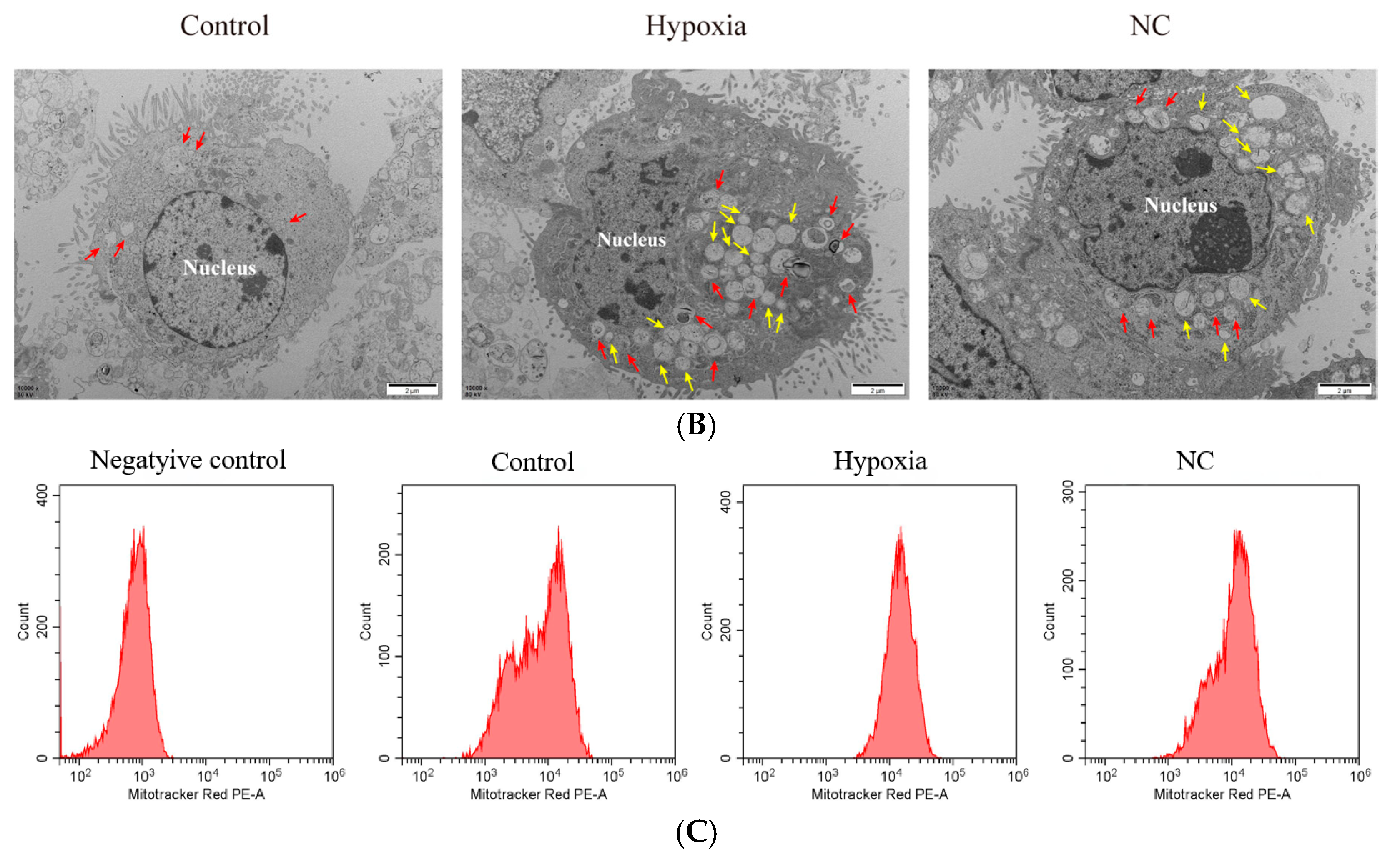 Animals 14 03016 g003b