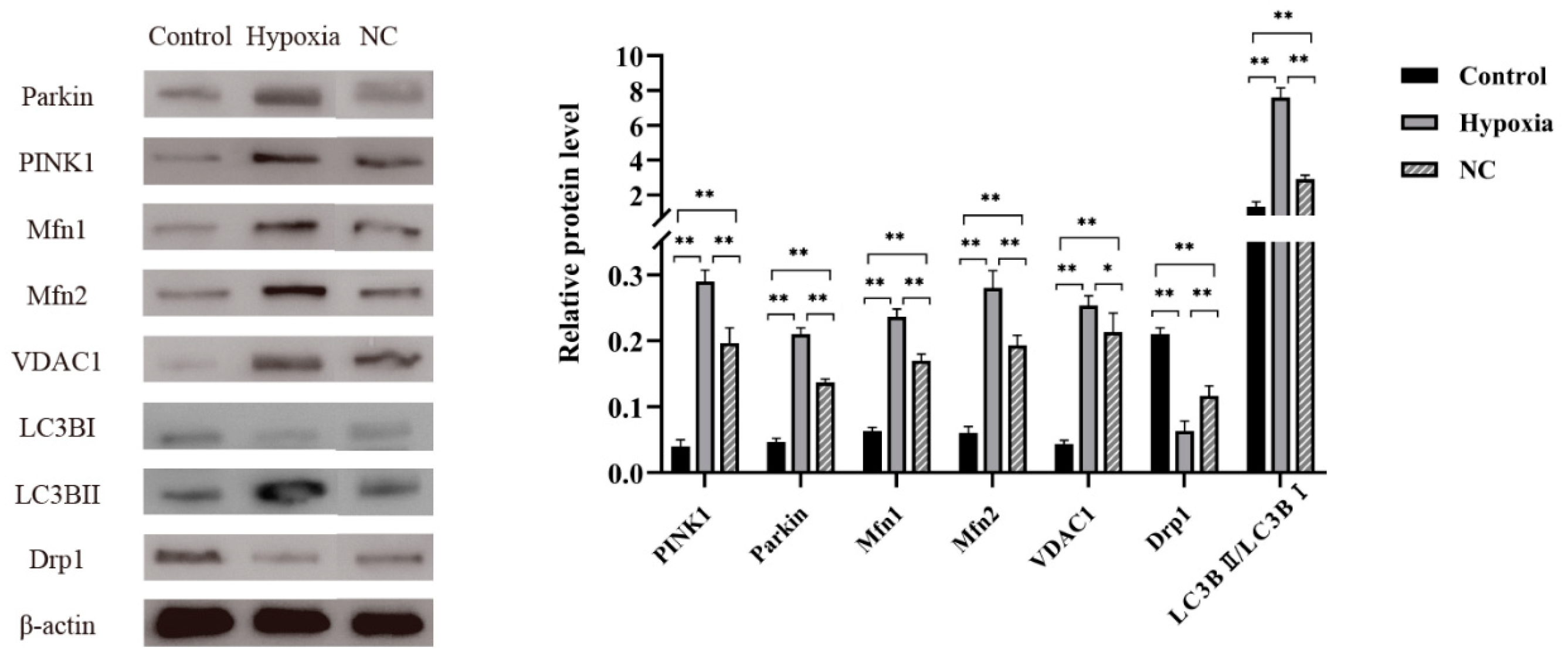 Animals 14 03016 g004