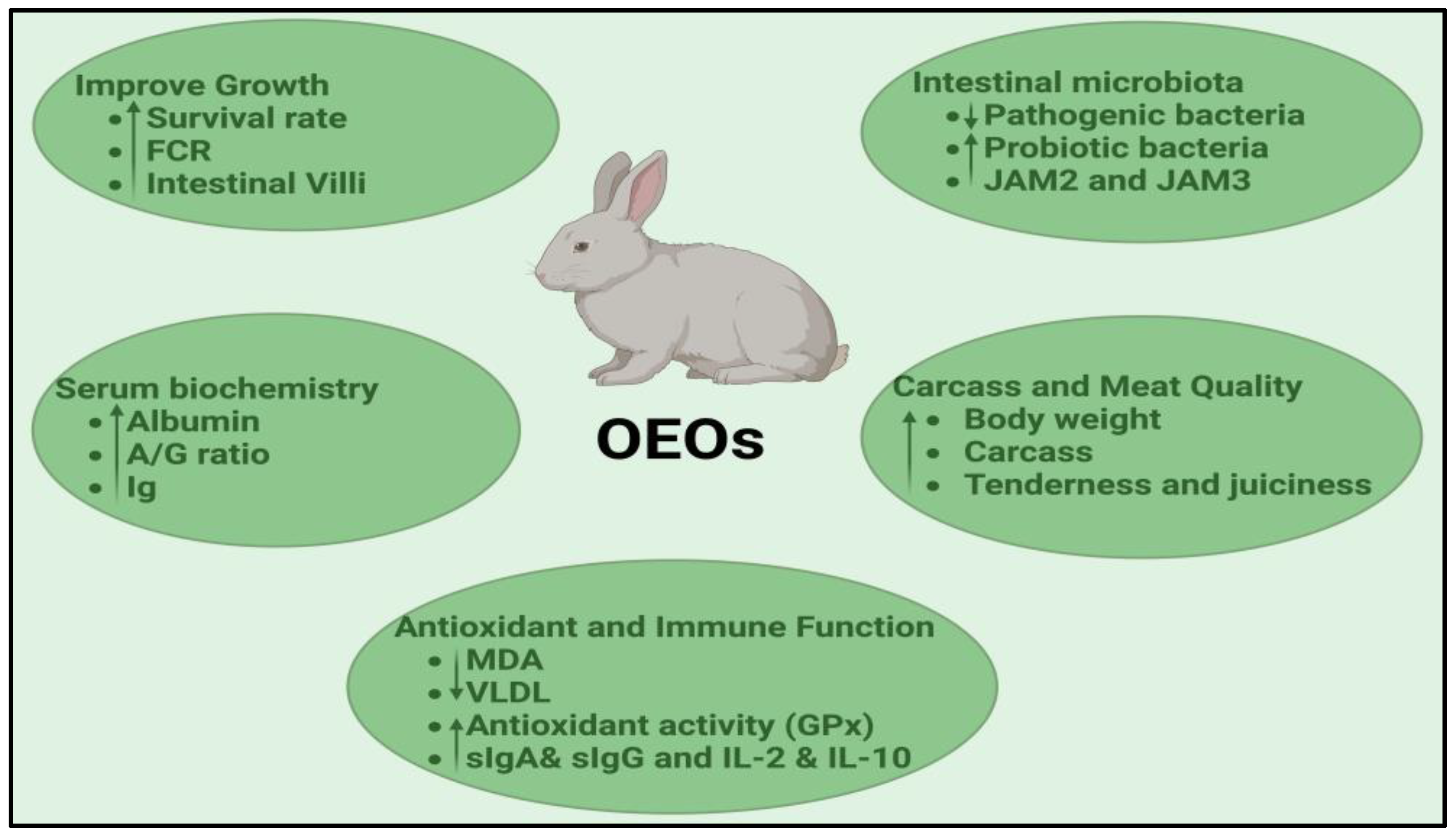 Animals 14 03021 g001