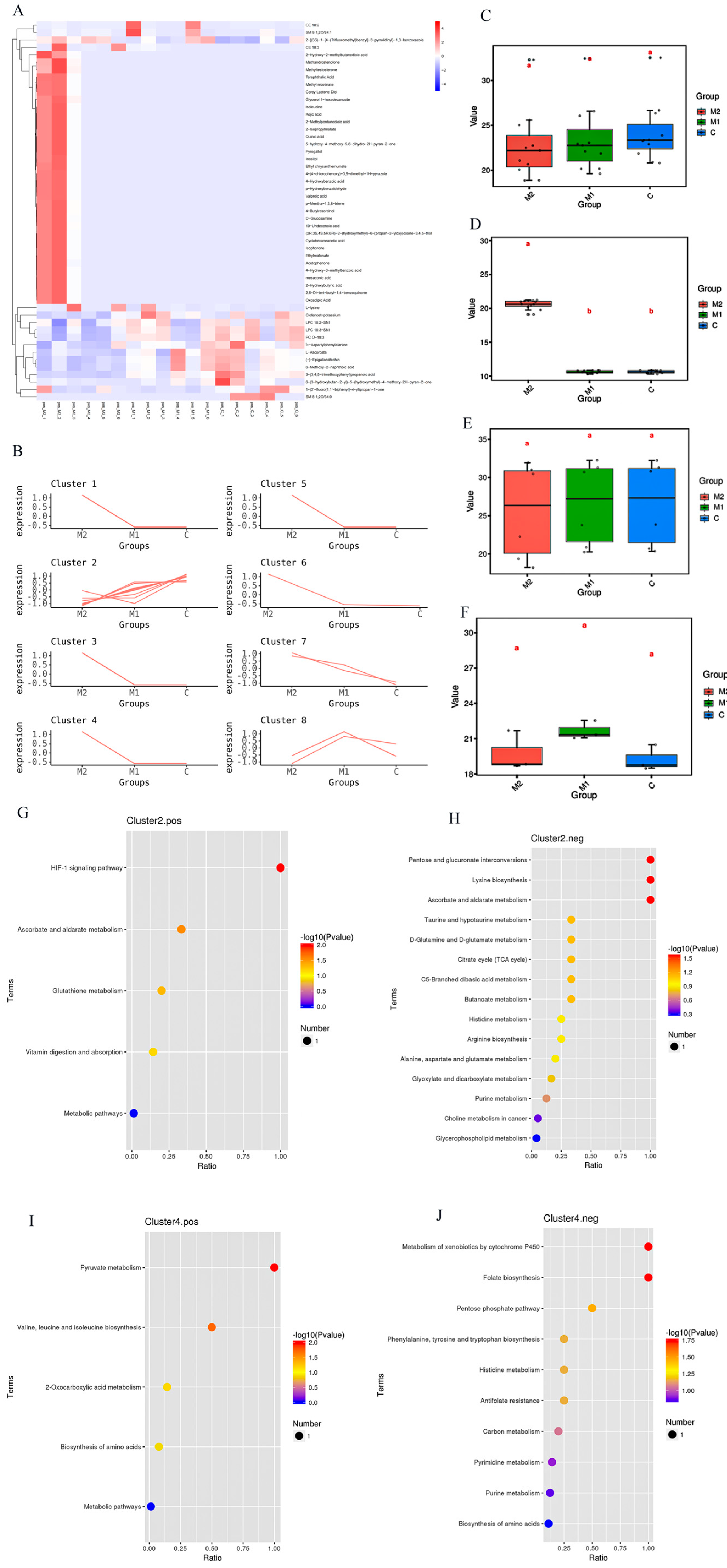 Animals 14 03027 g003