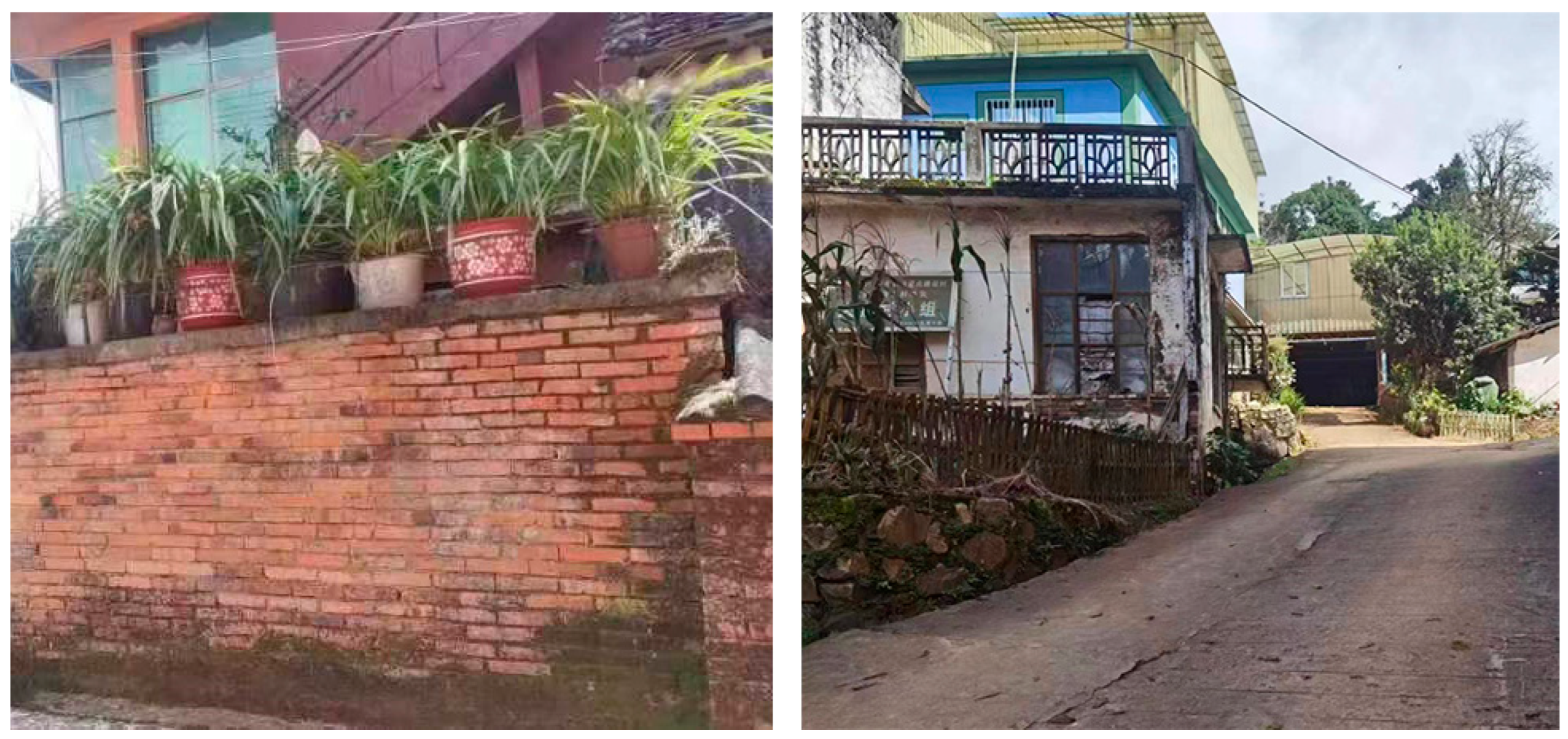 Animals 14 03030 g010