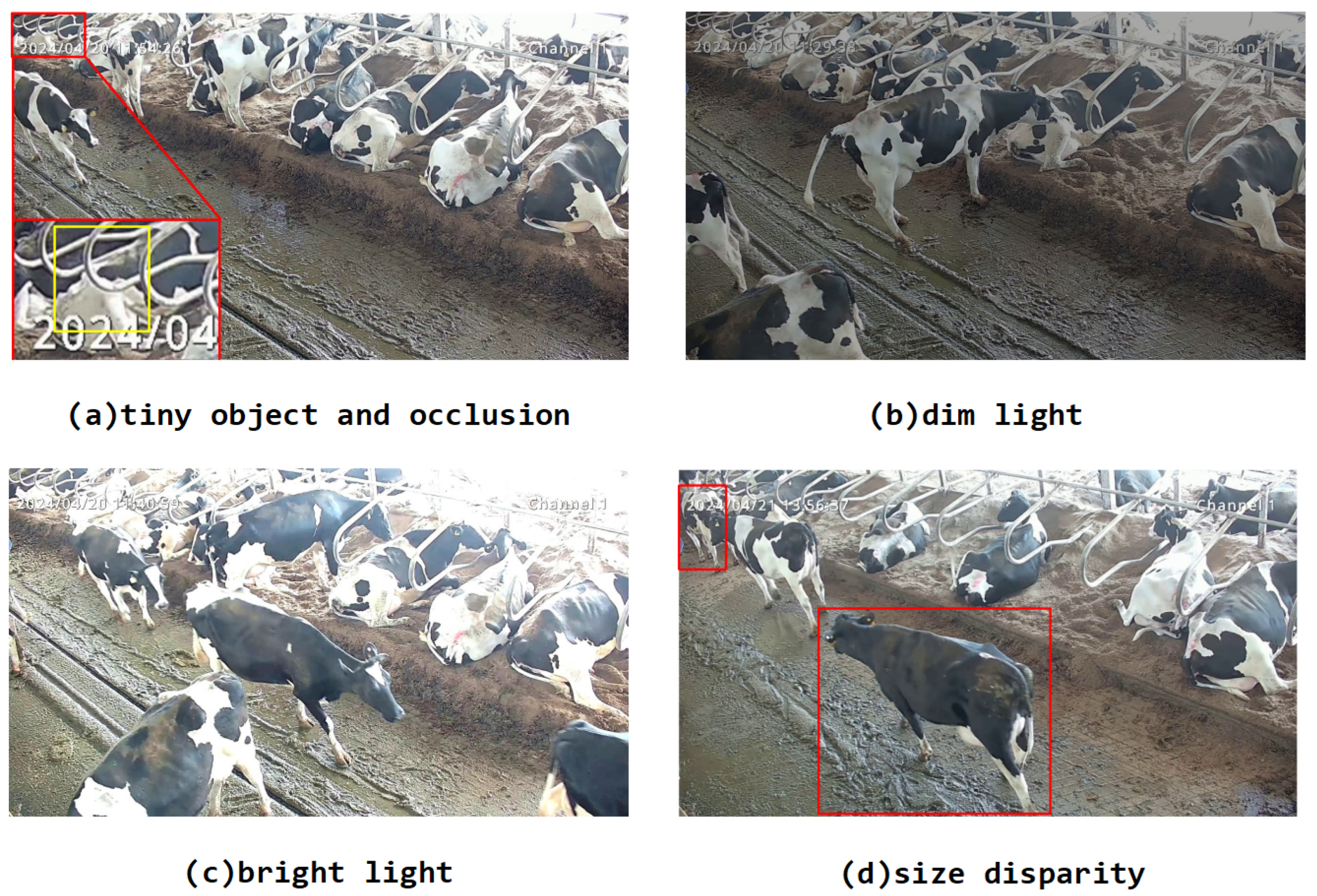 Animals 14 03033 g004