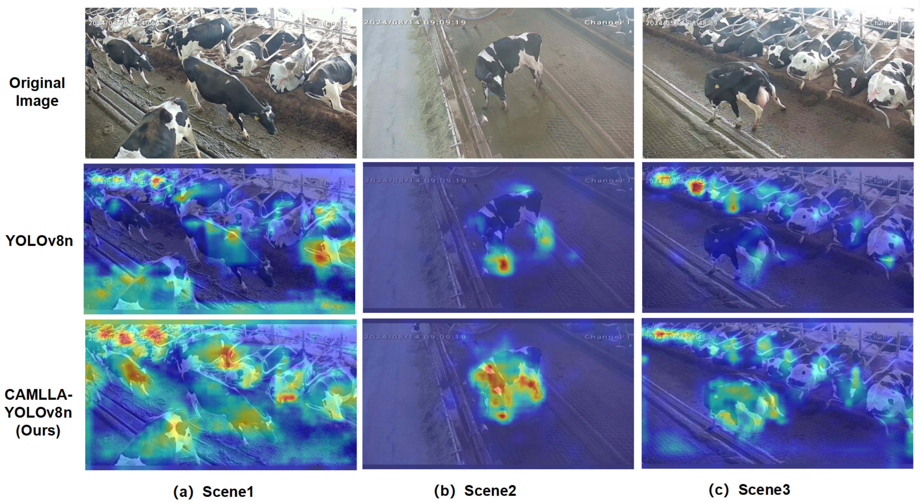 Animals 14 03033 g019