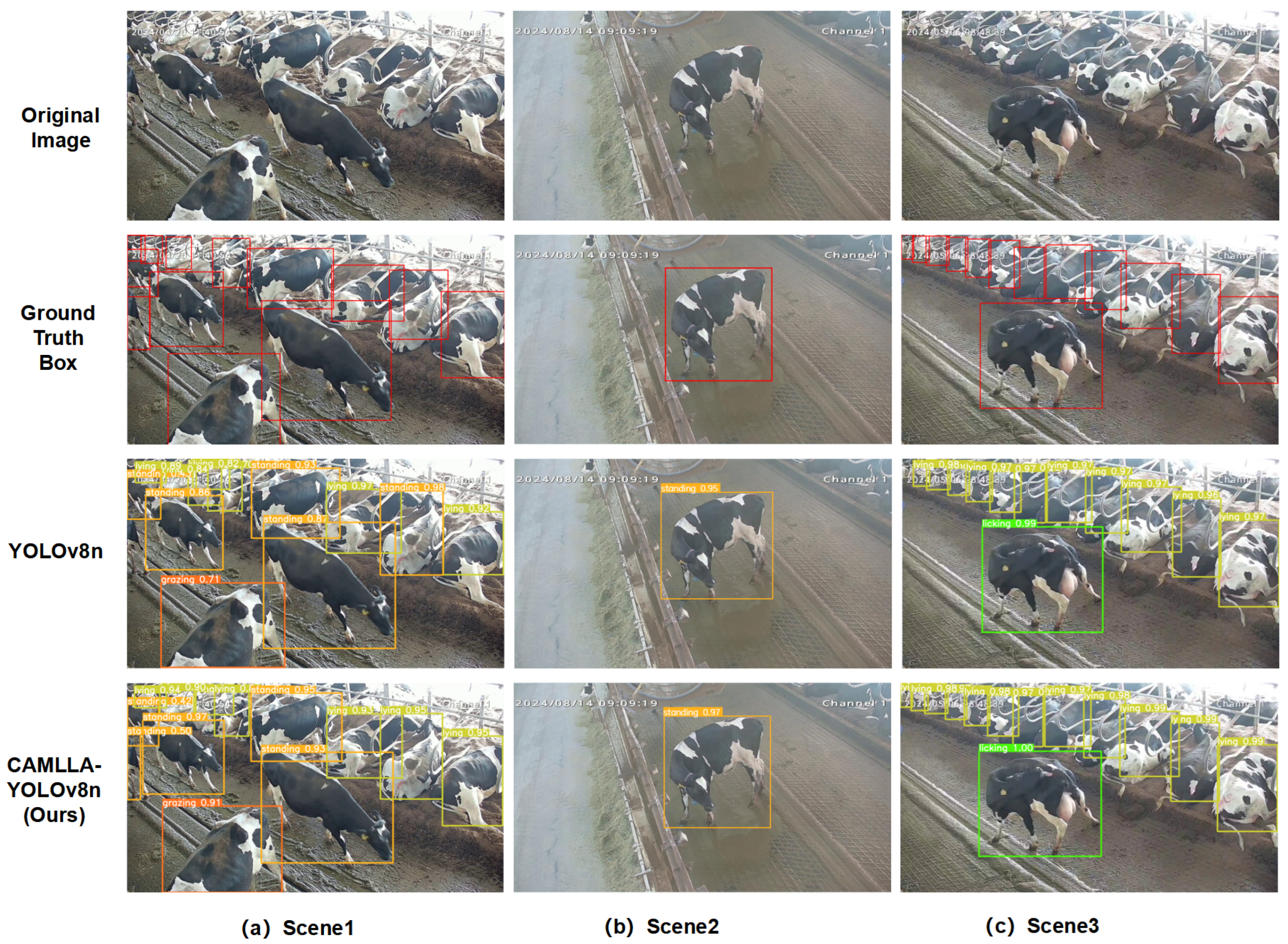 Animals 14 03033 g020