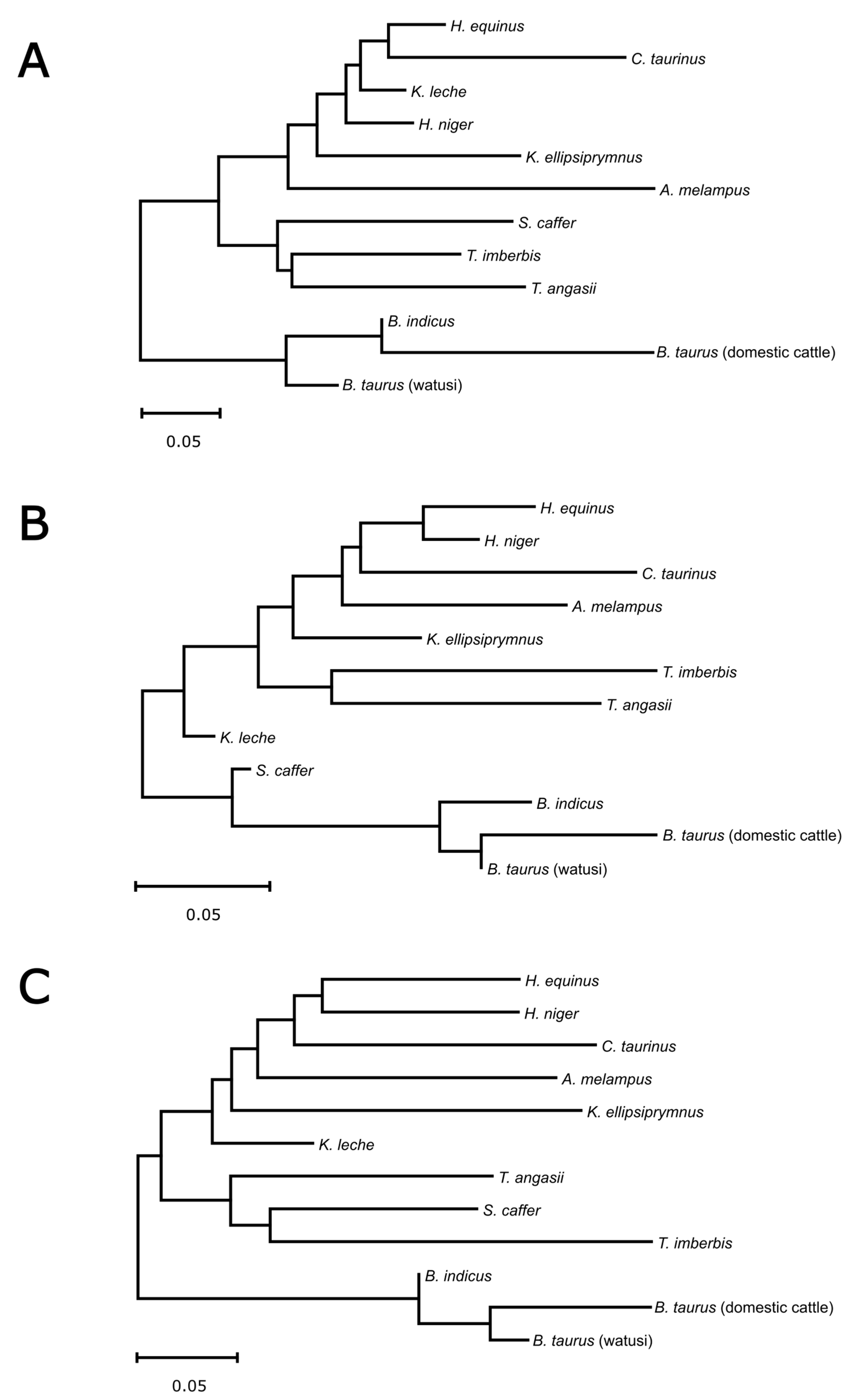 Animals 14 03034 g003