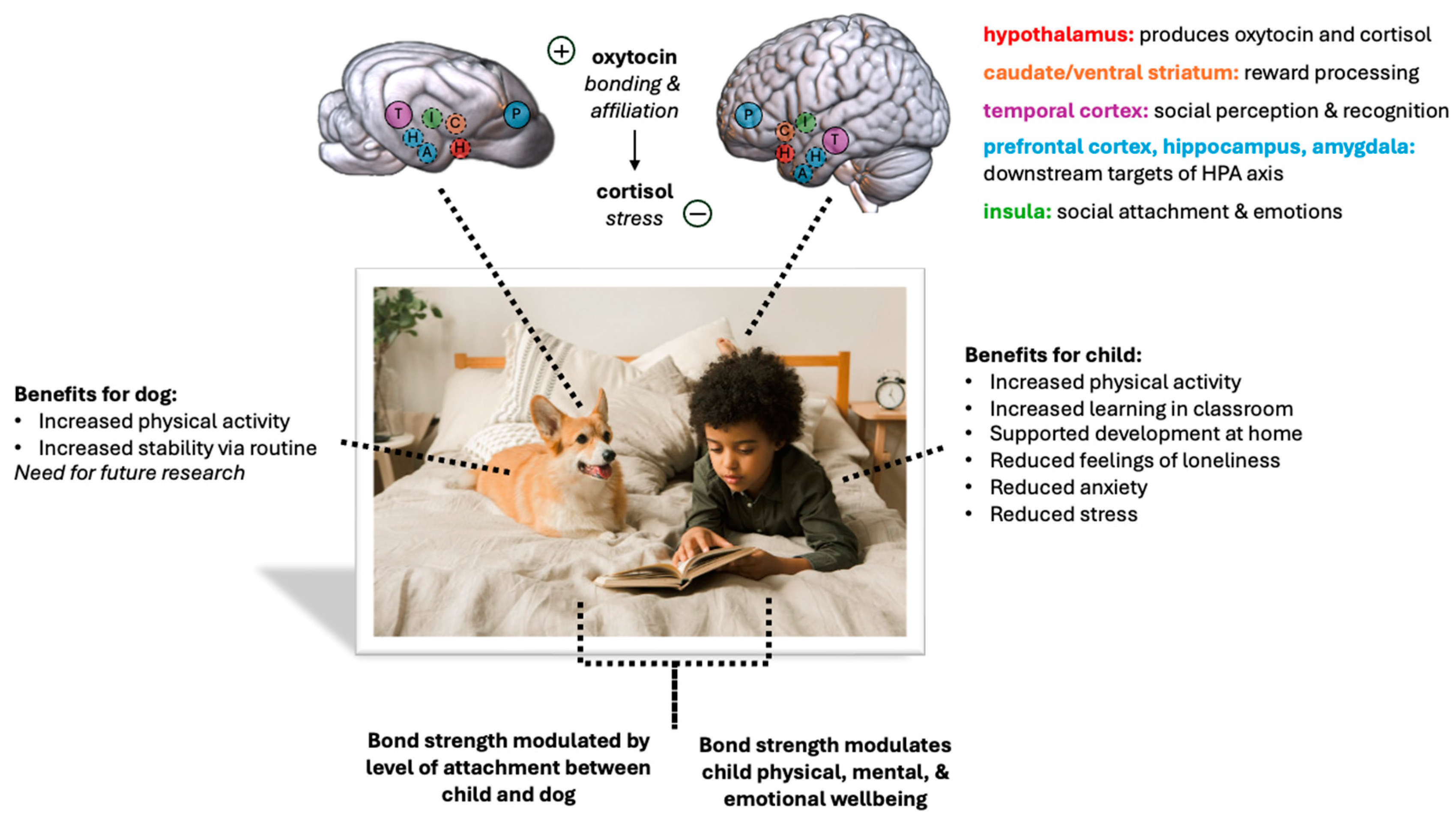 Animals 14 03036 g001