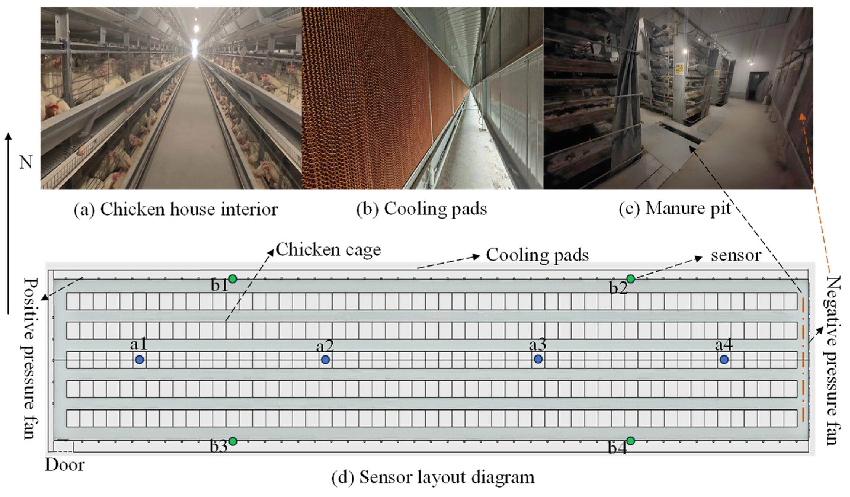 Animals 14 03055 g002