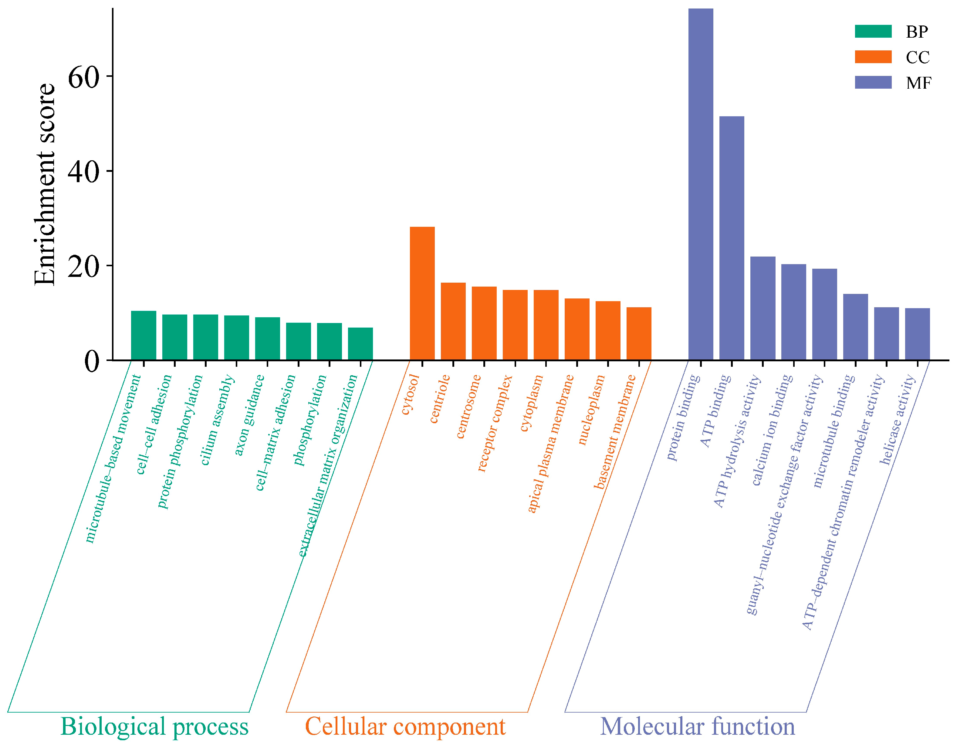 Animals 14 03056 g002