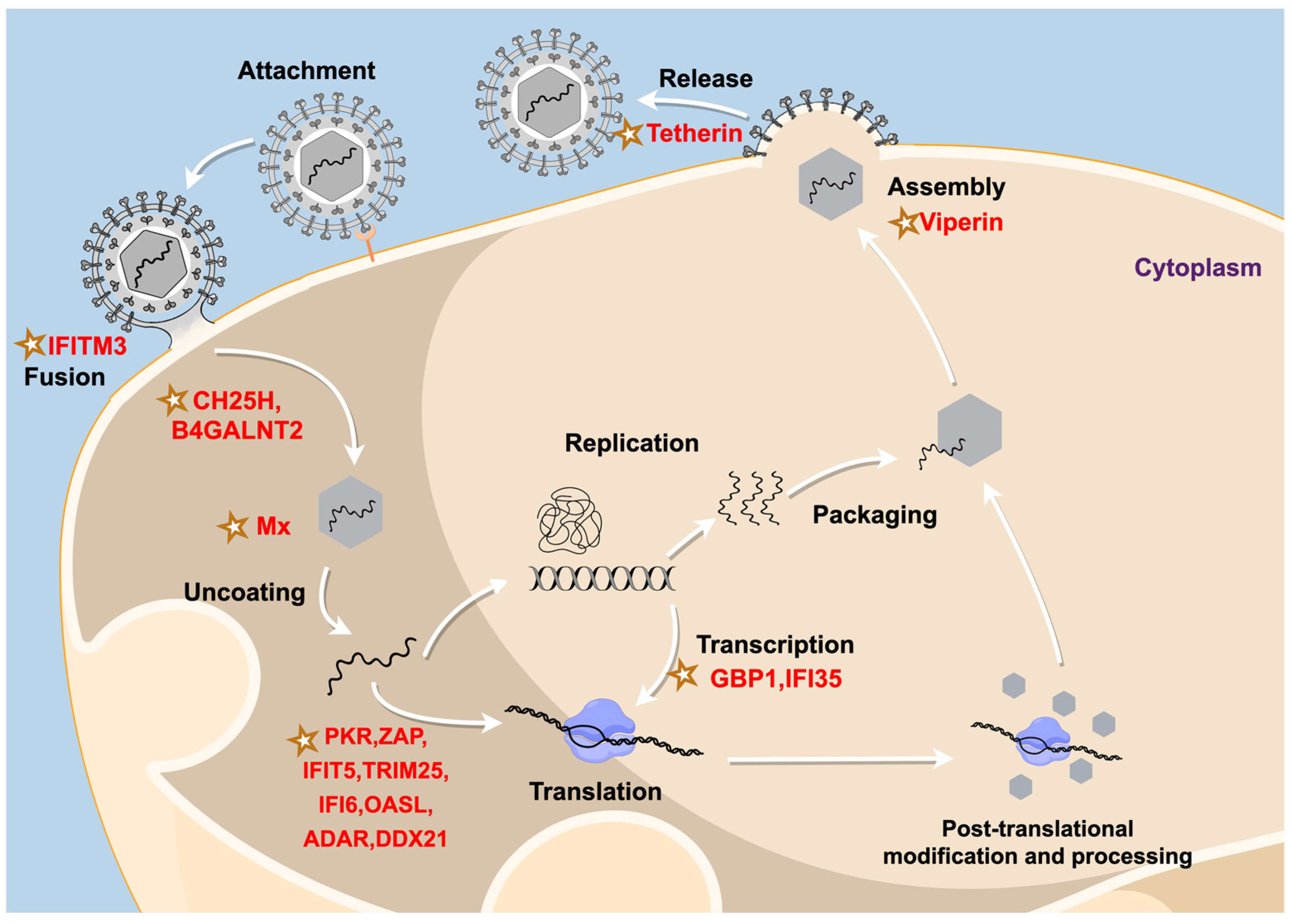 Animals 14 03062 g001