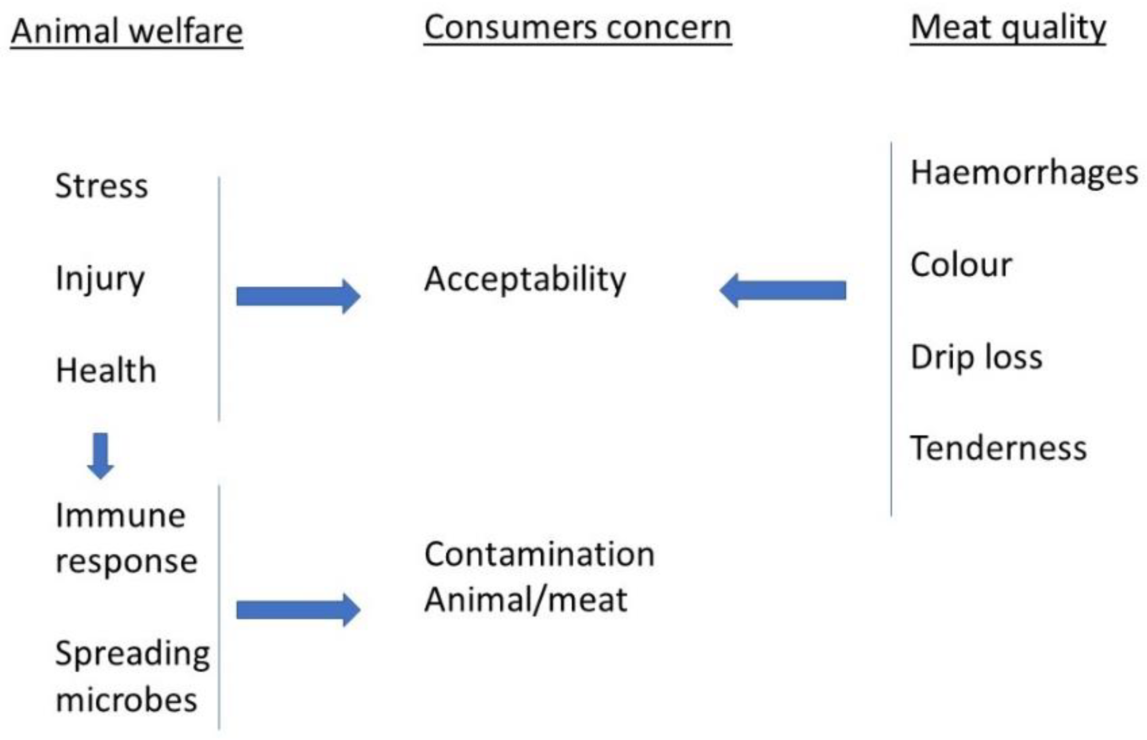 Animals 14 03064 g001