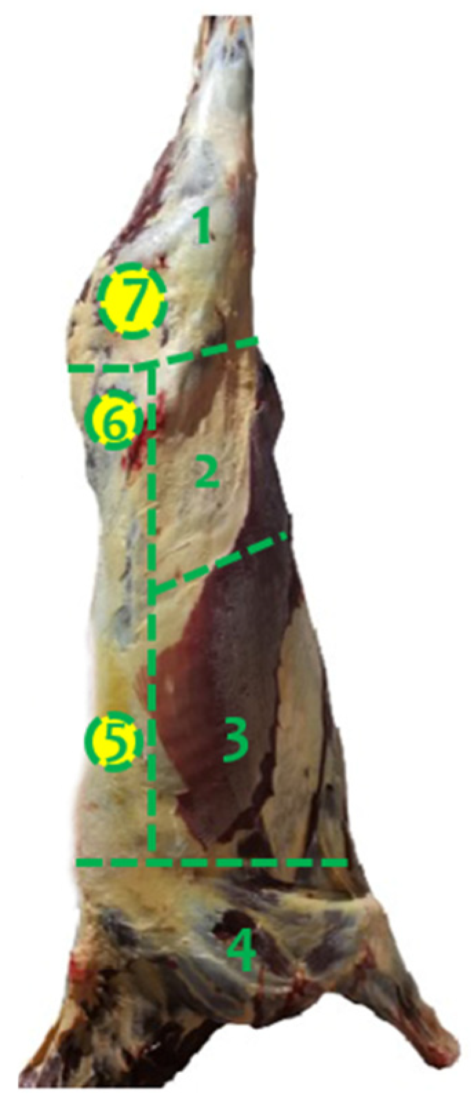 Animals 14 03069 g001