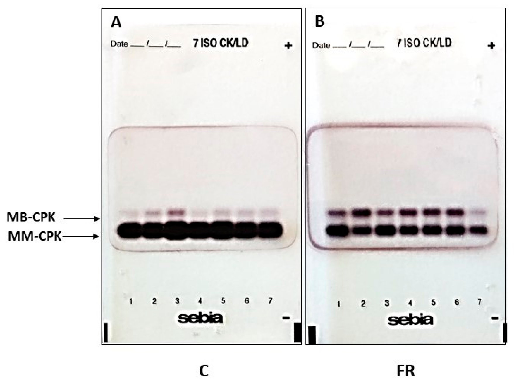 Animals 14 03070 g004 Animals 14 03070 g004