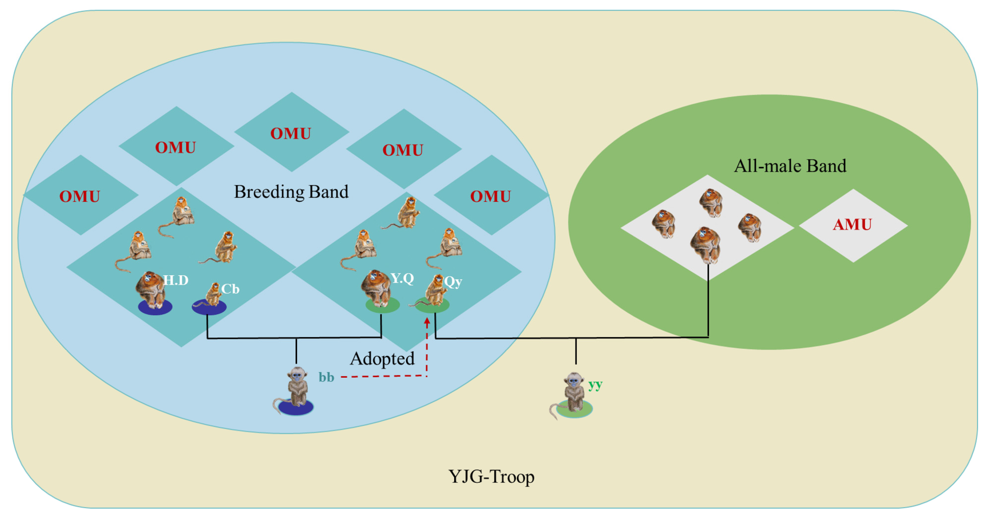 Animals 14 03075 g001