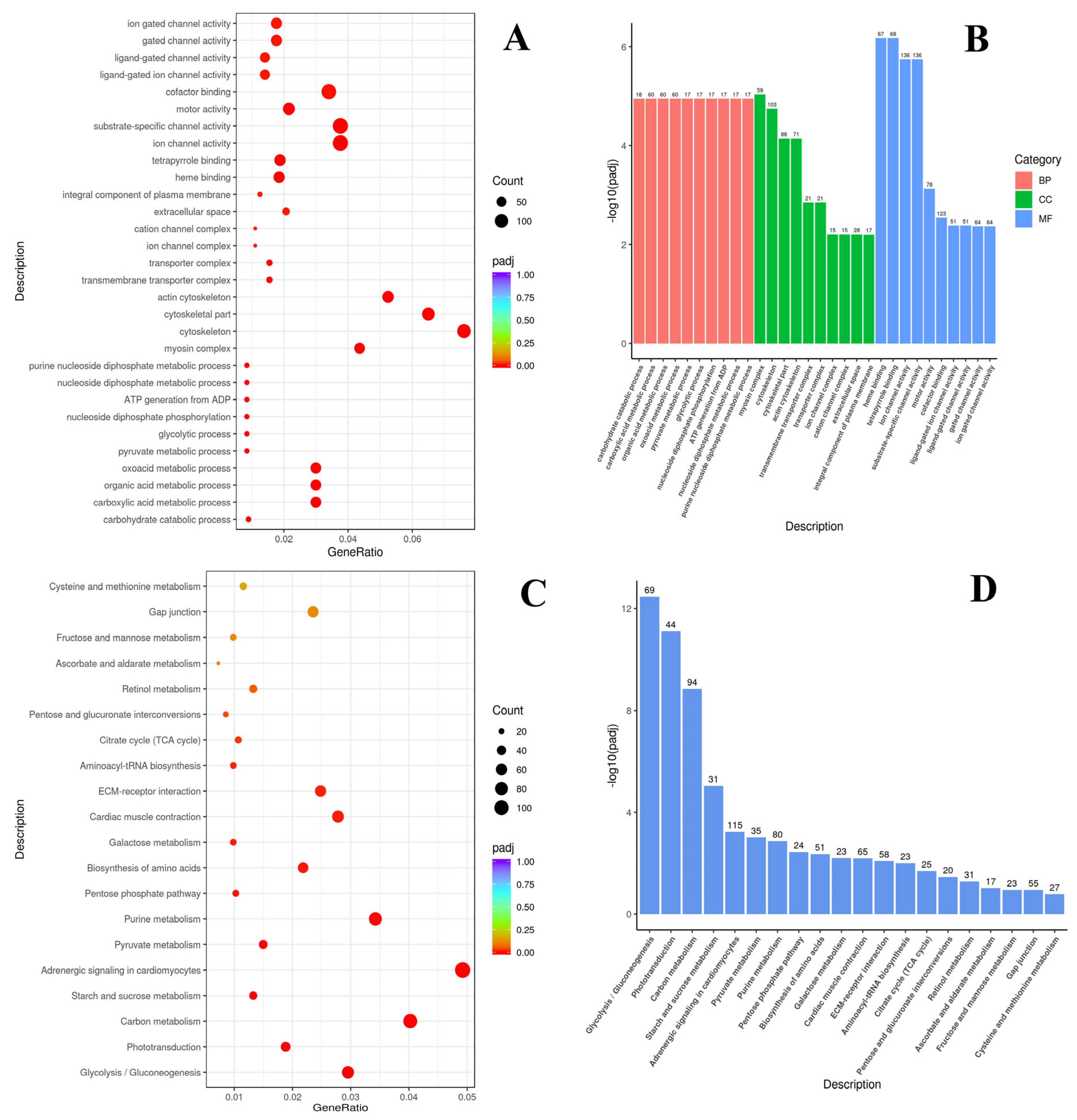 Animals 14 03077 g0a3