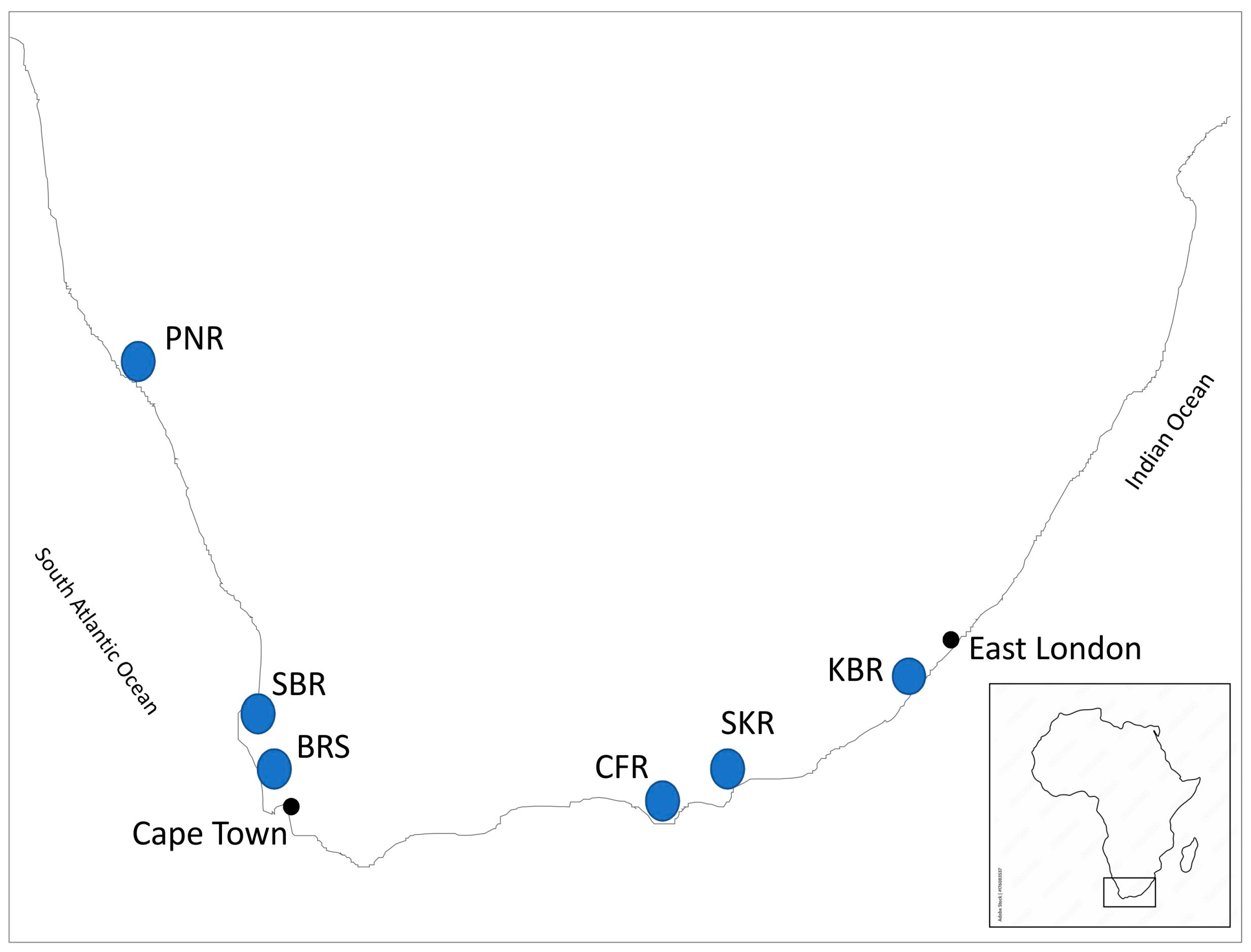 Animals 14 03080 g001 Animals 14 03080 g001