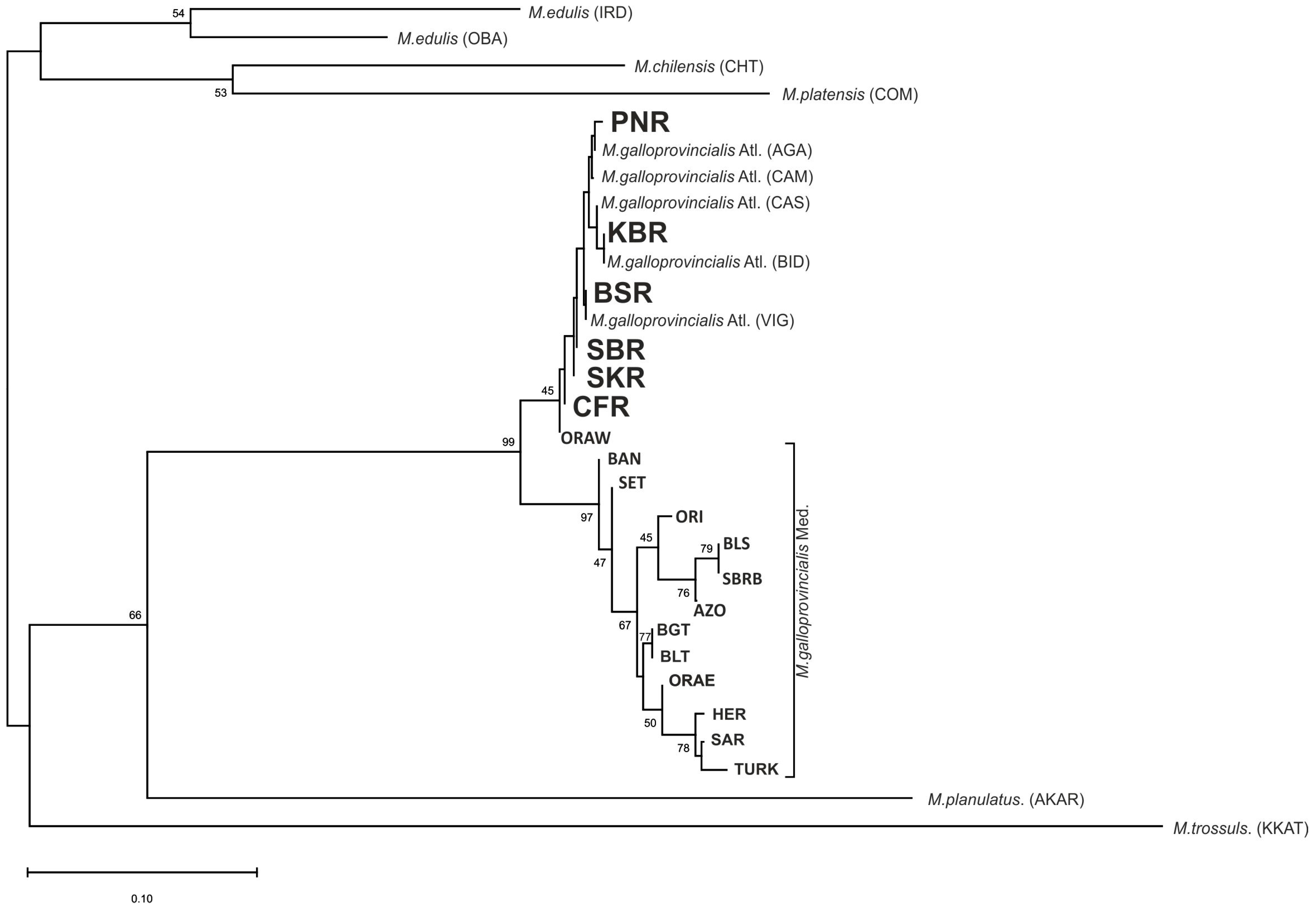 Animals 14 03080 g002 Animals 14 03080 g002