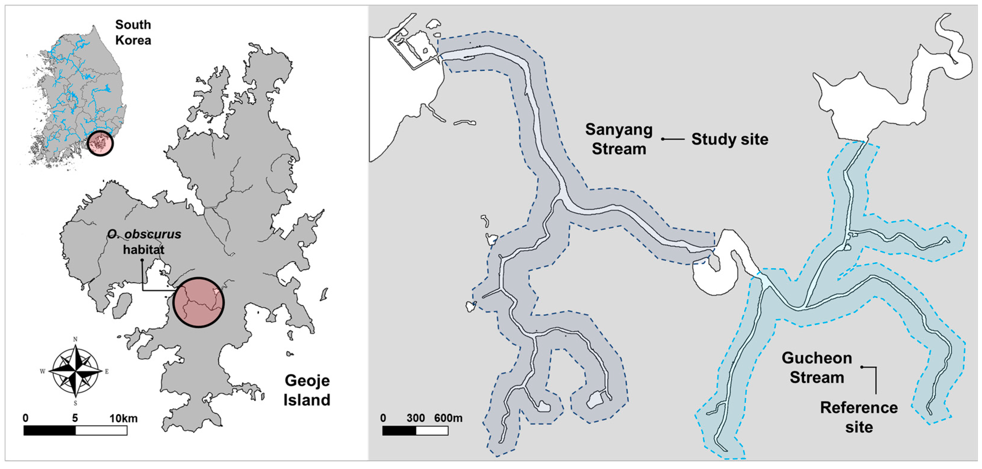 Animals 14 03083 g001
