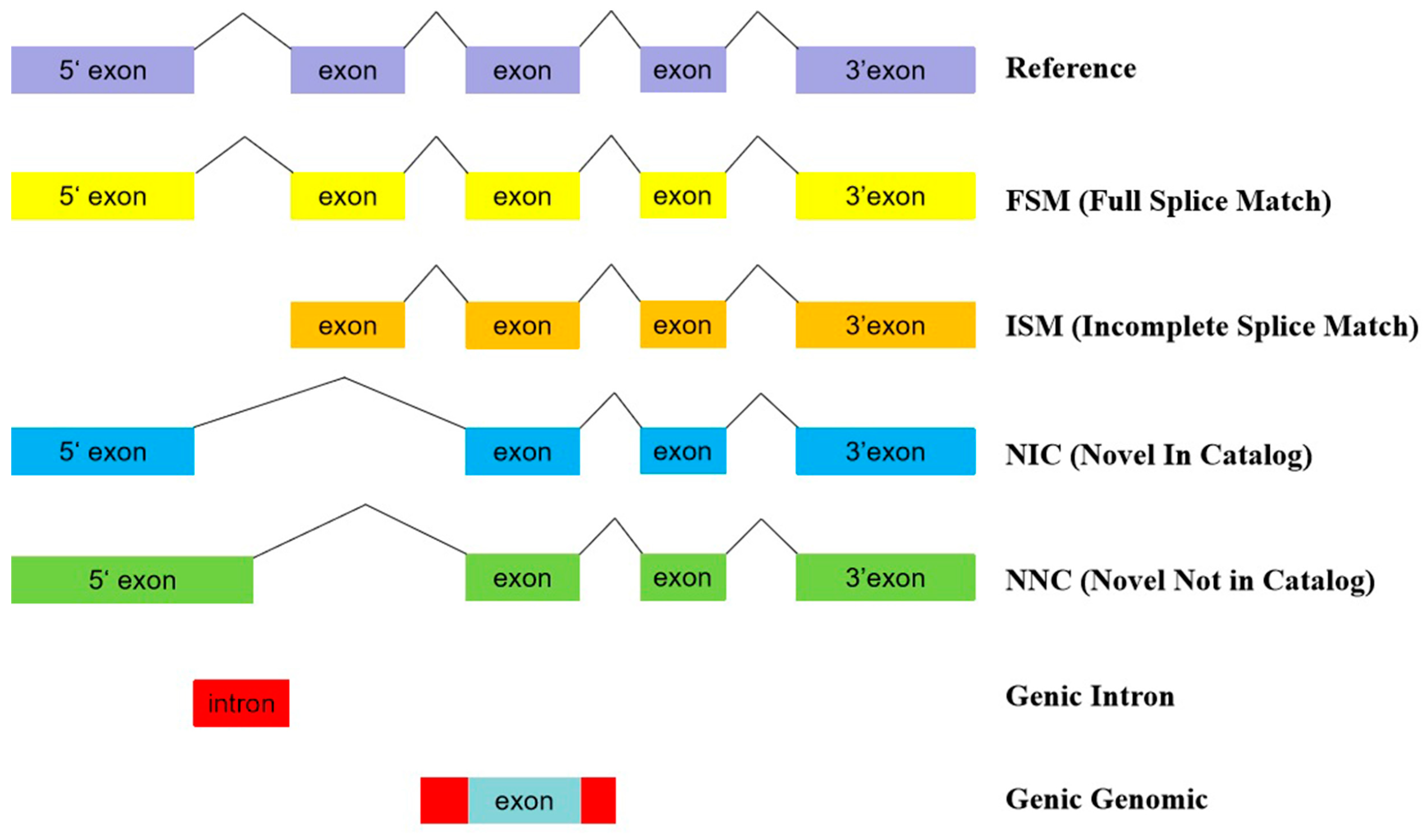 Animals 14 03085 g002