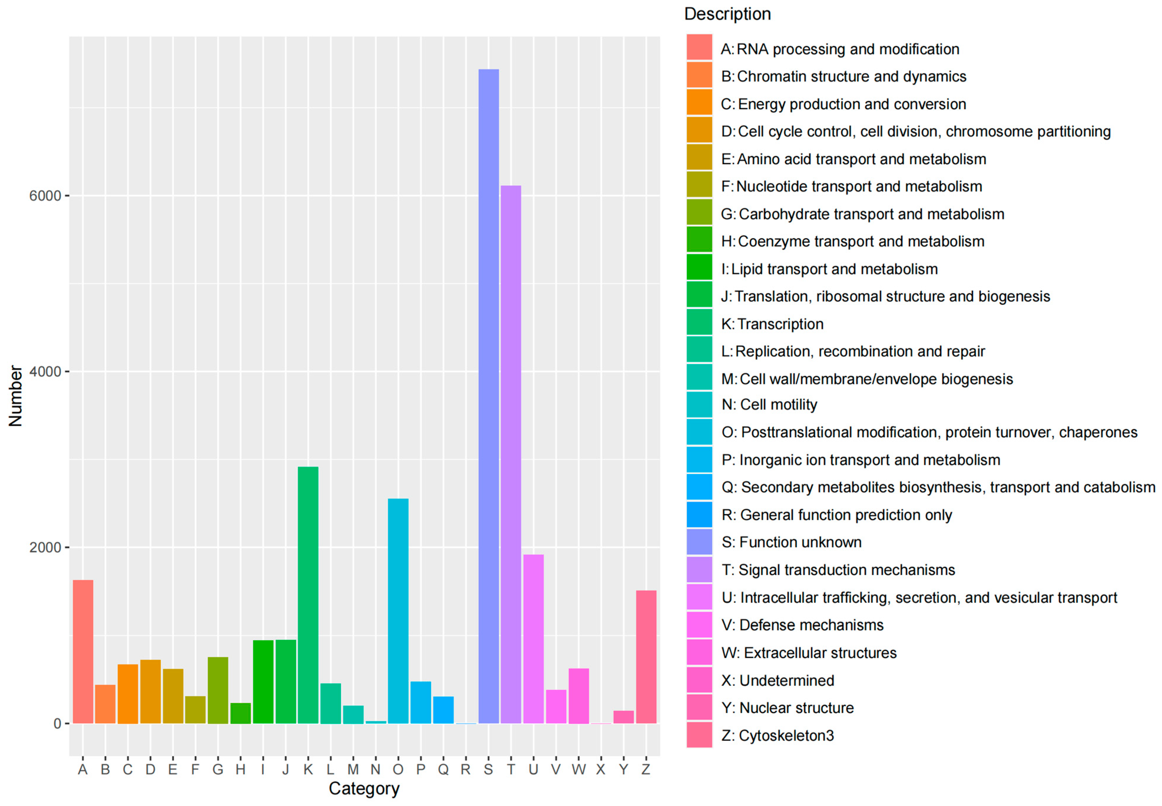 Animals 14 03085 g006