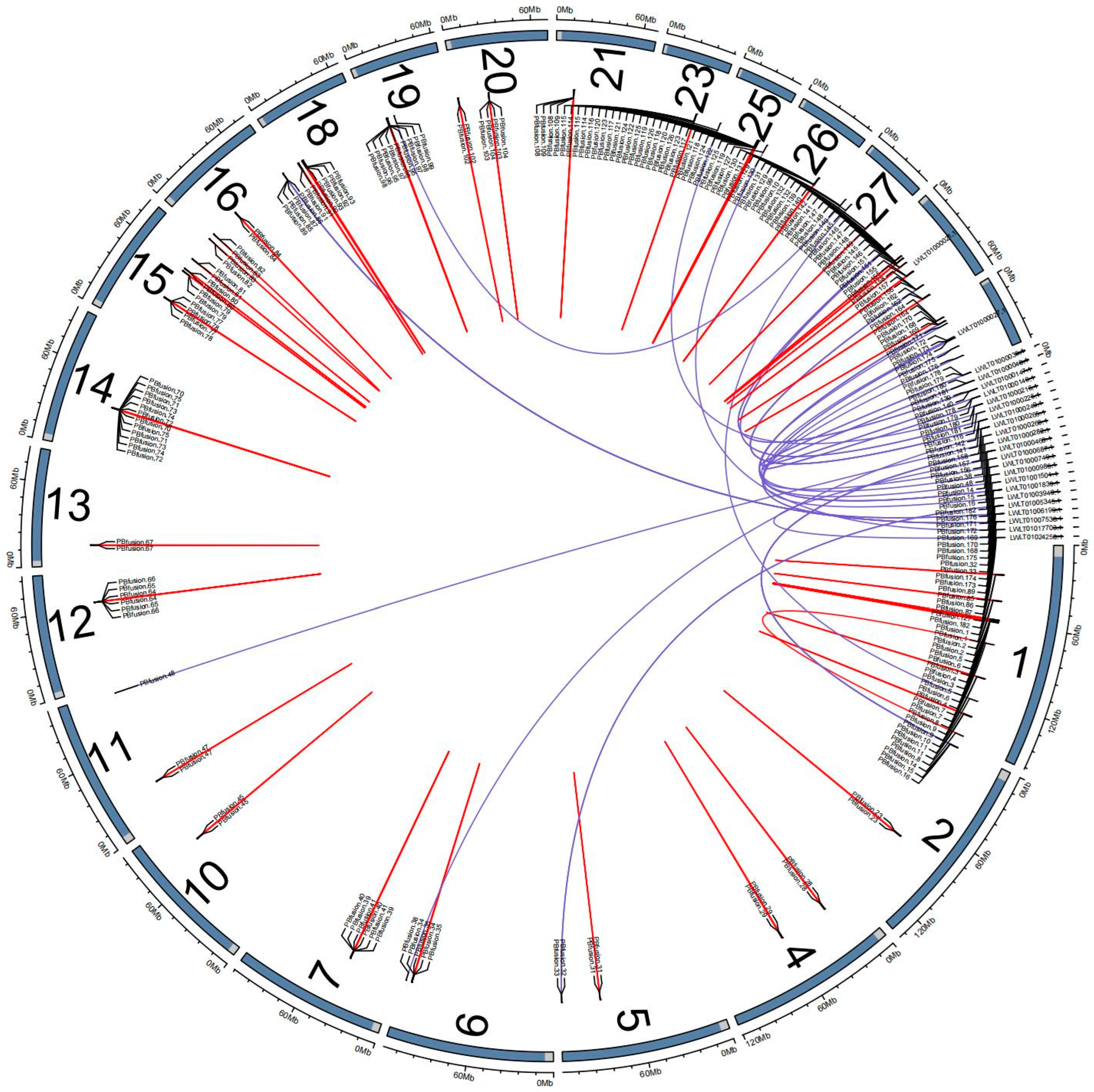 Animals 14 03085 g007