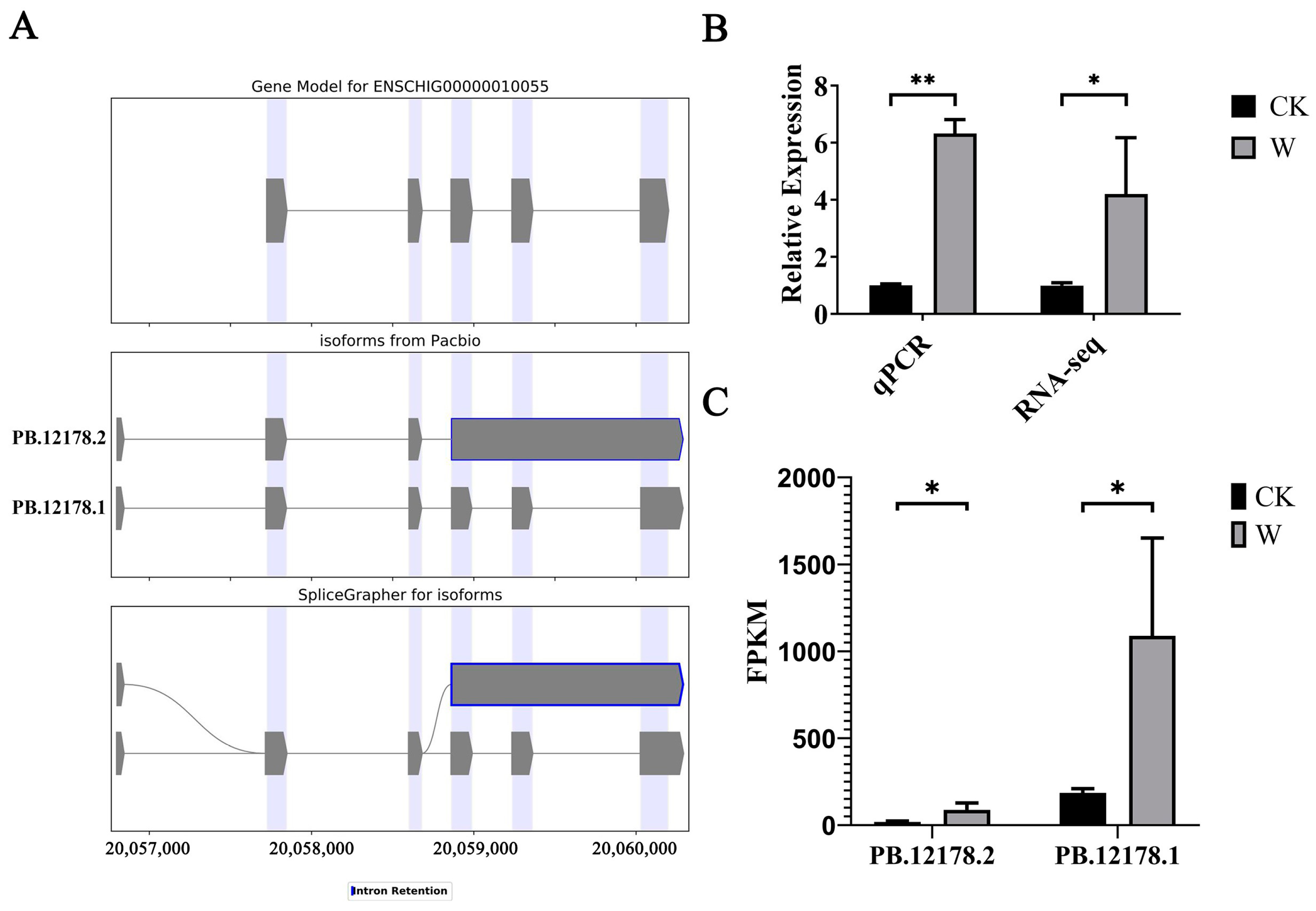 Animals 14 03085 g010