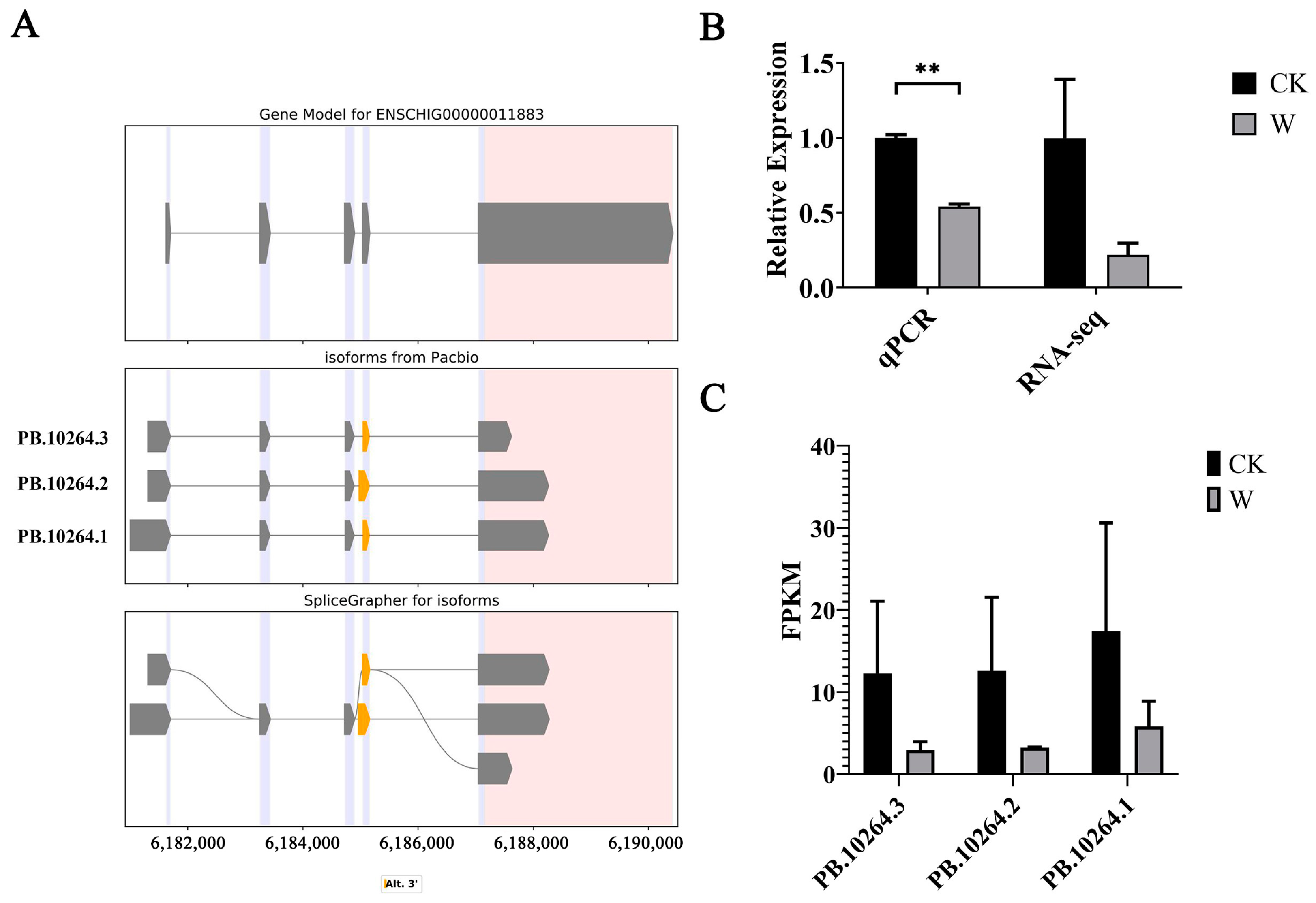 Animals 14 03085 g011