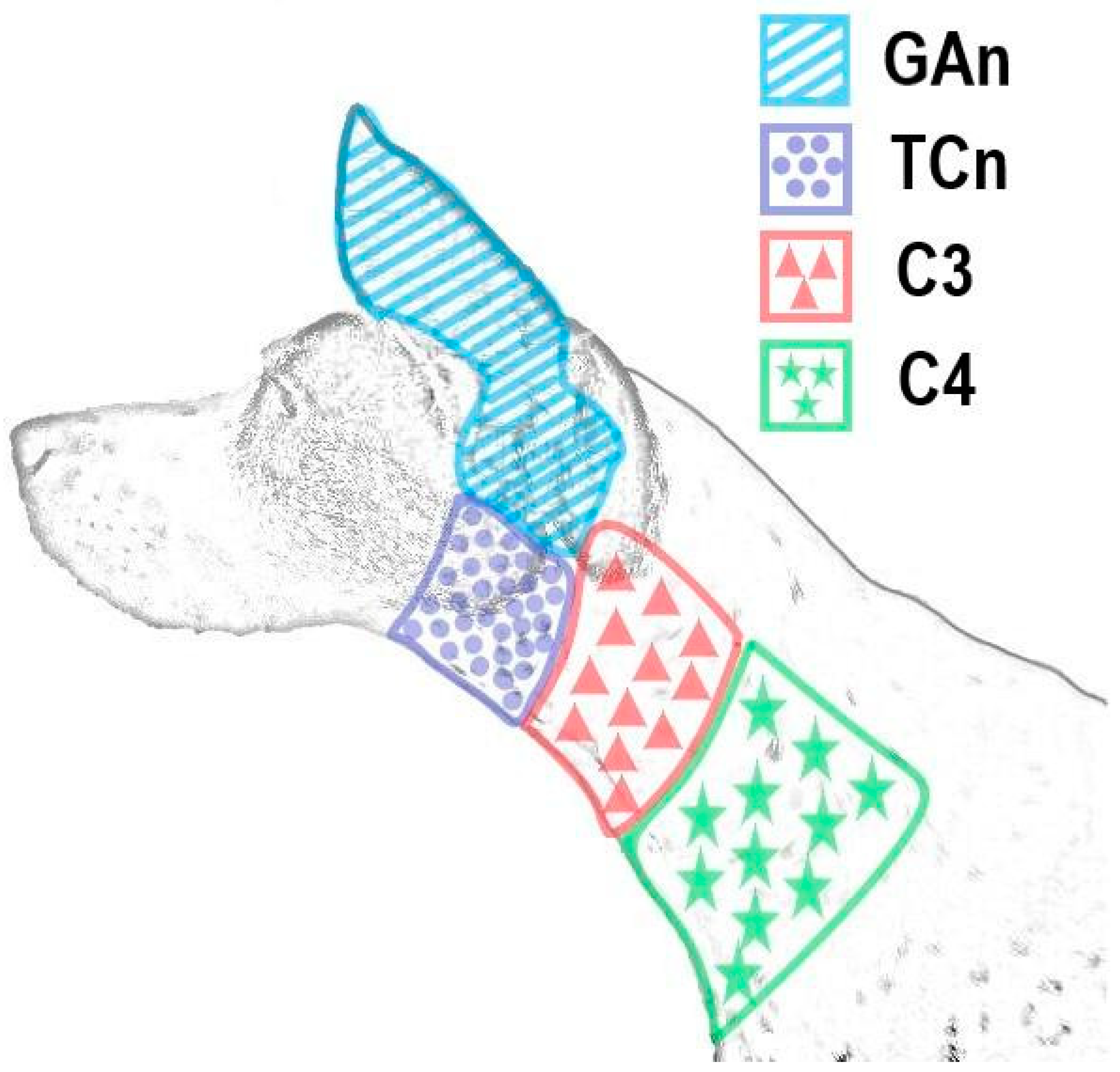 Animals 14 03094 g001