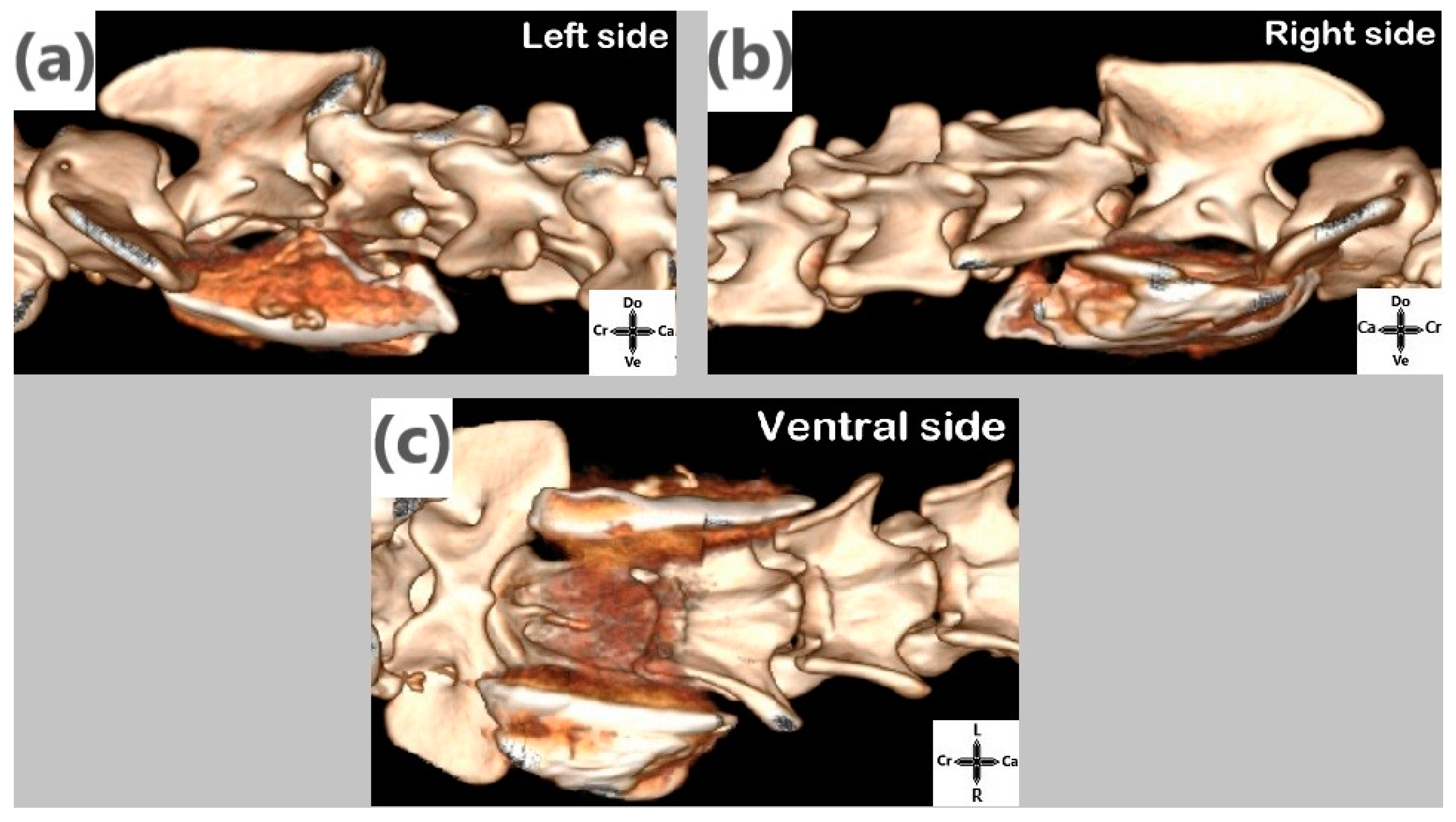 Animals 14 03094 g004