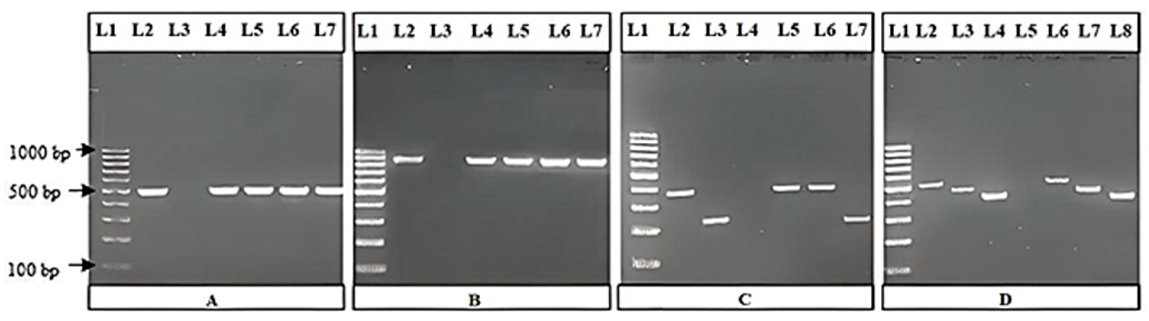 Animals 14 03095 g002