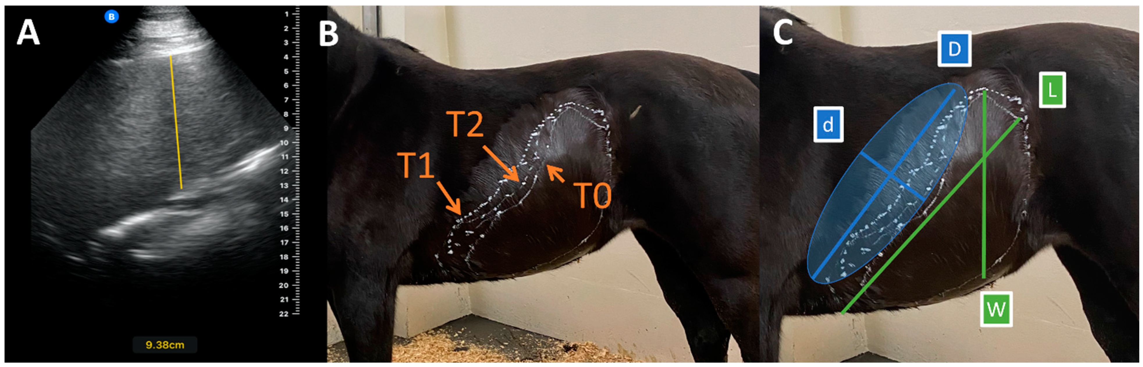 Animals 14 03102 g001