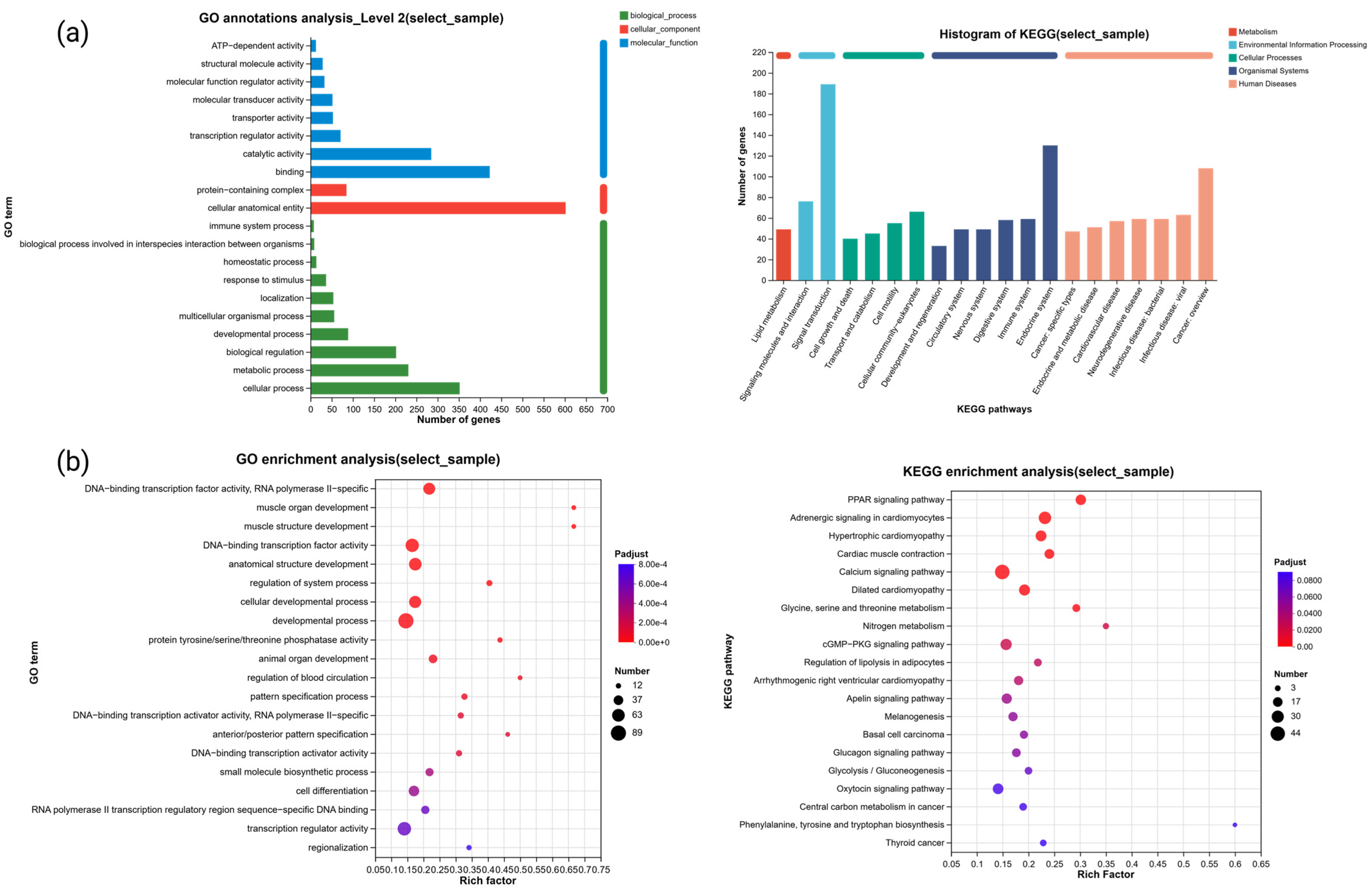 Animals 14 03111 g004