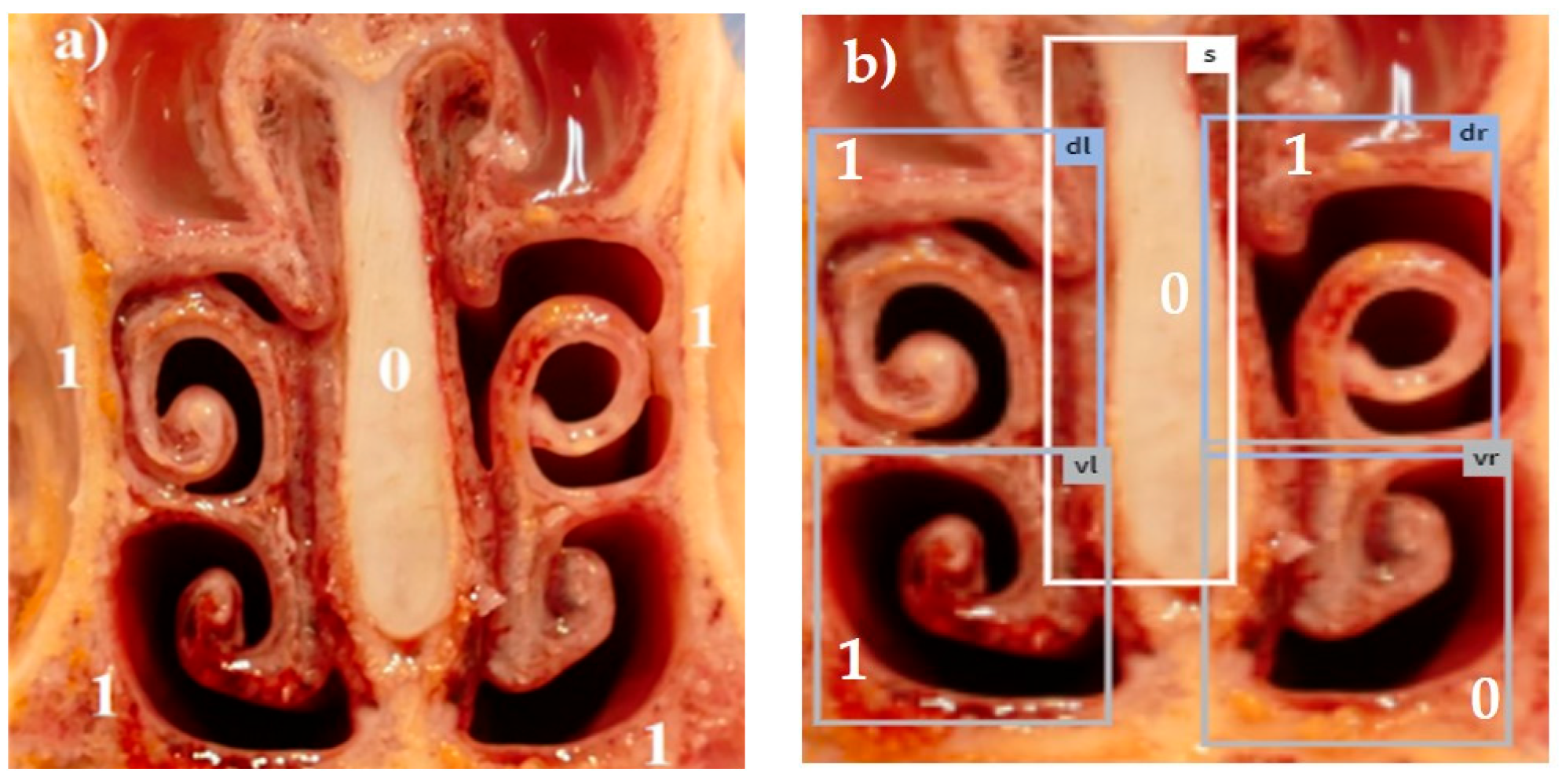 Animals 14 03113 g002 Animals 14 03113 g002