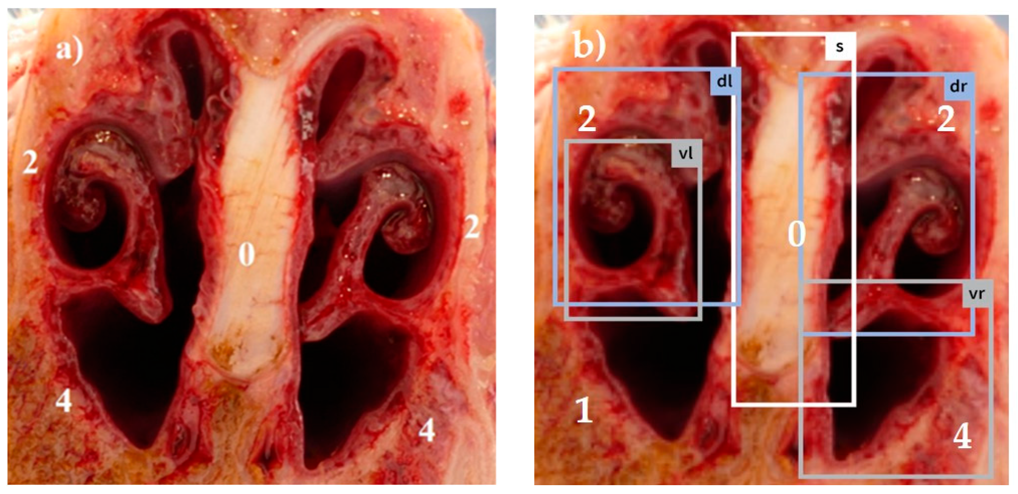 Animals 14 03113 g005 Animals 14 03113 g005