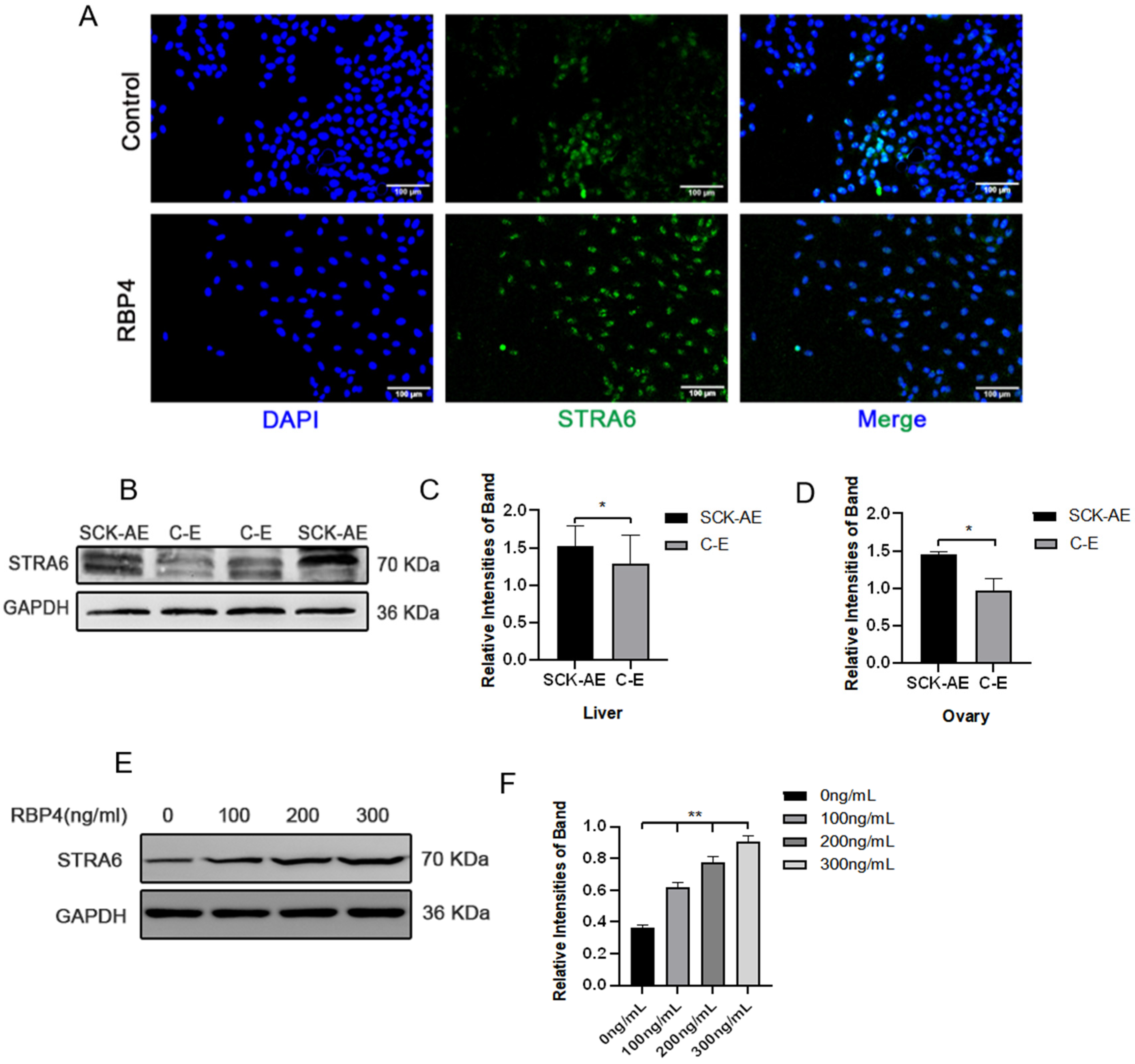 Animals 14 03118 g005