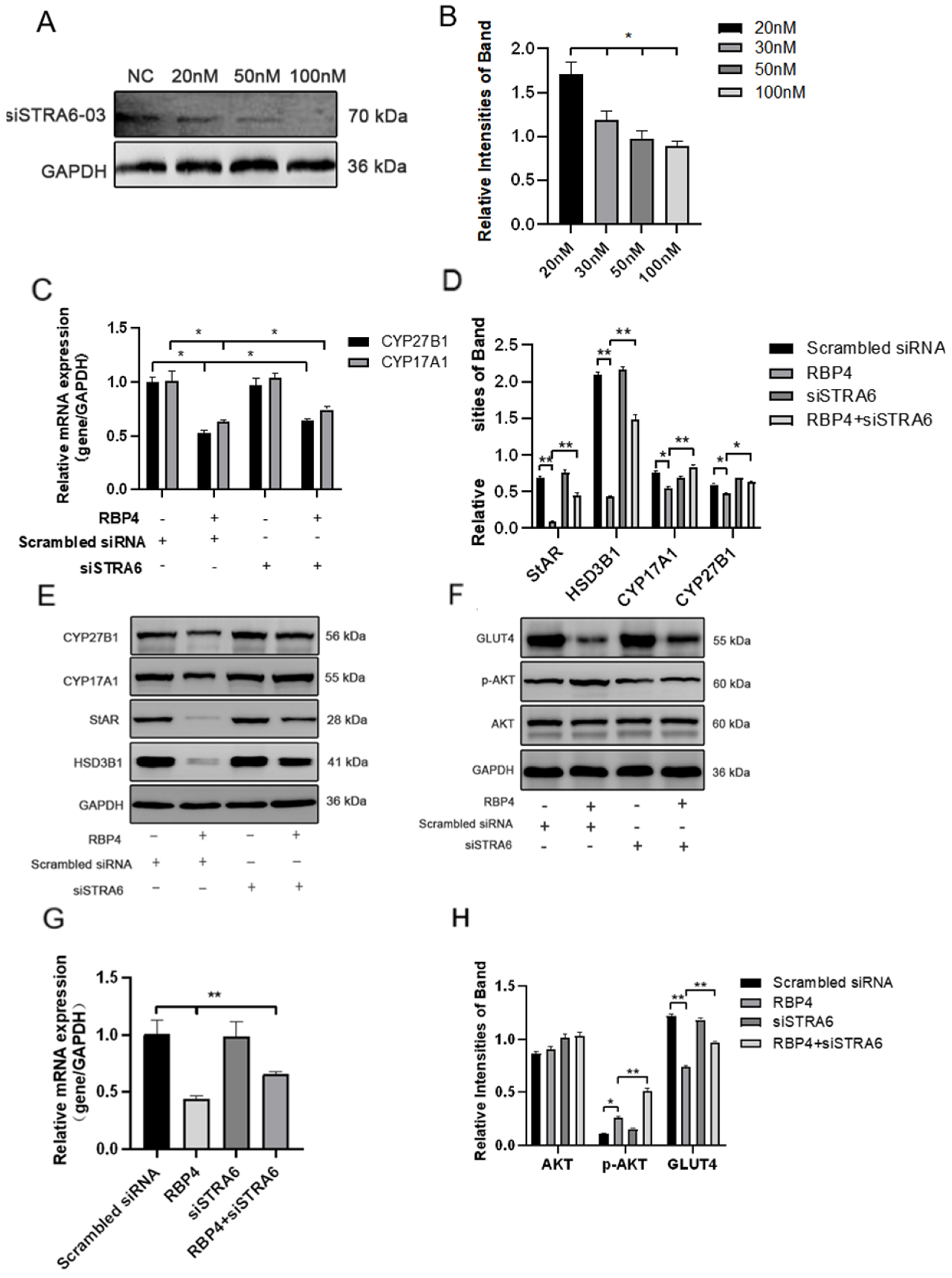 Animals 14 03118 g006