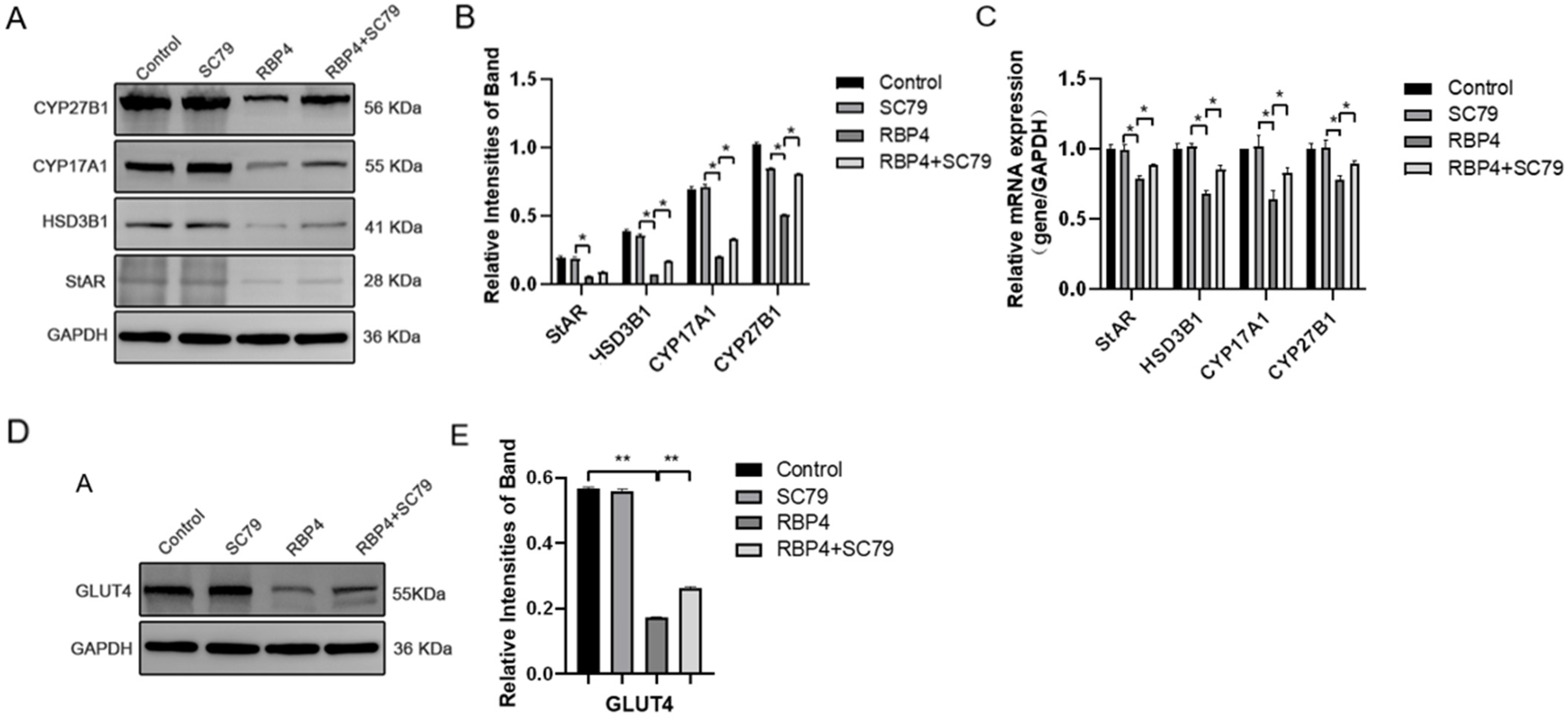 Animals 14 03118 g009