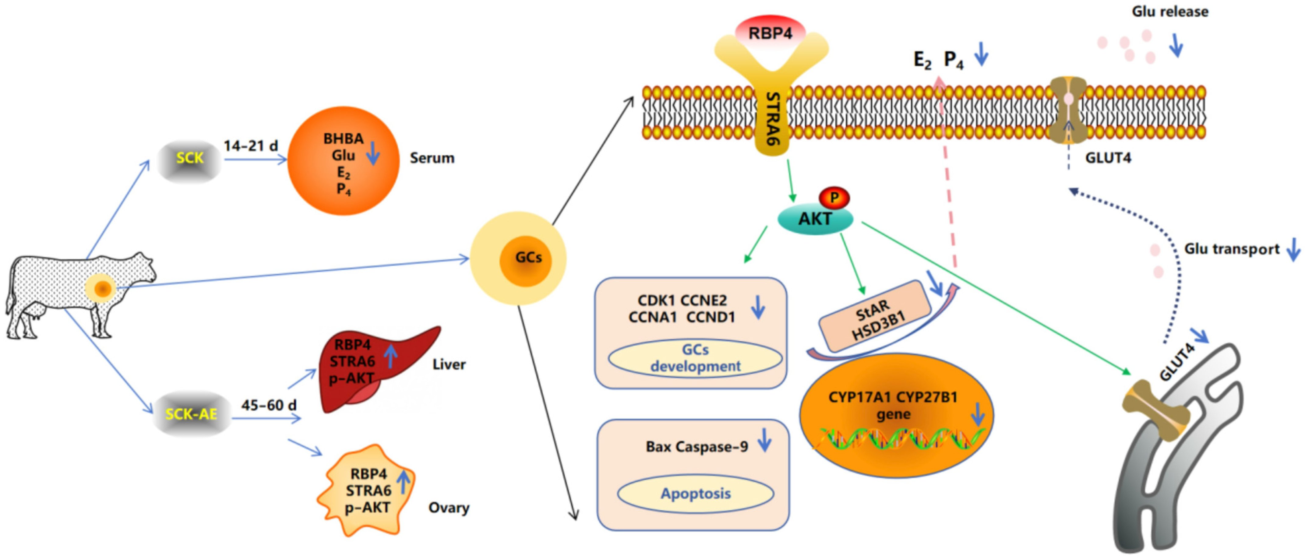 Animals 14 03118 g010
