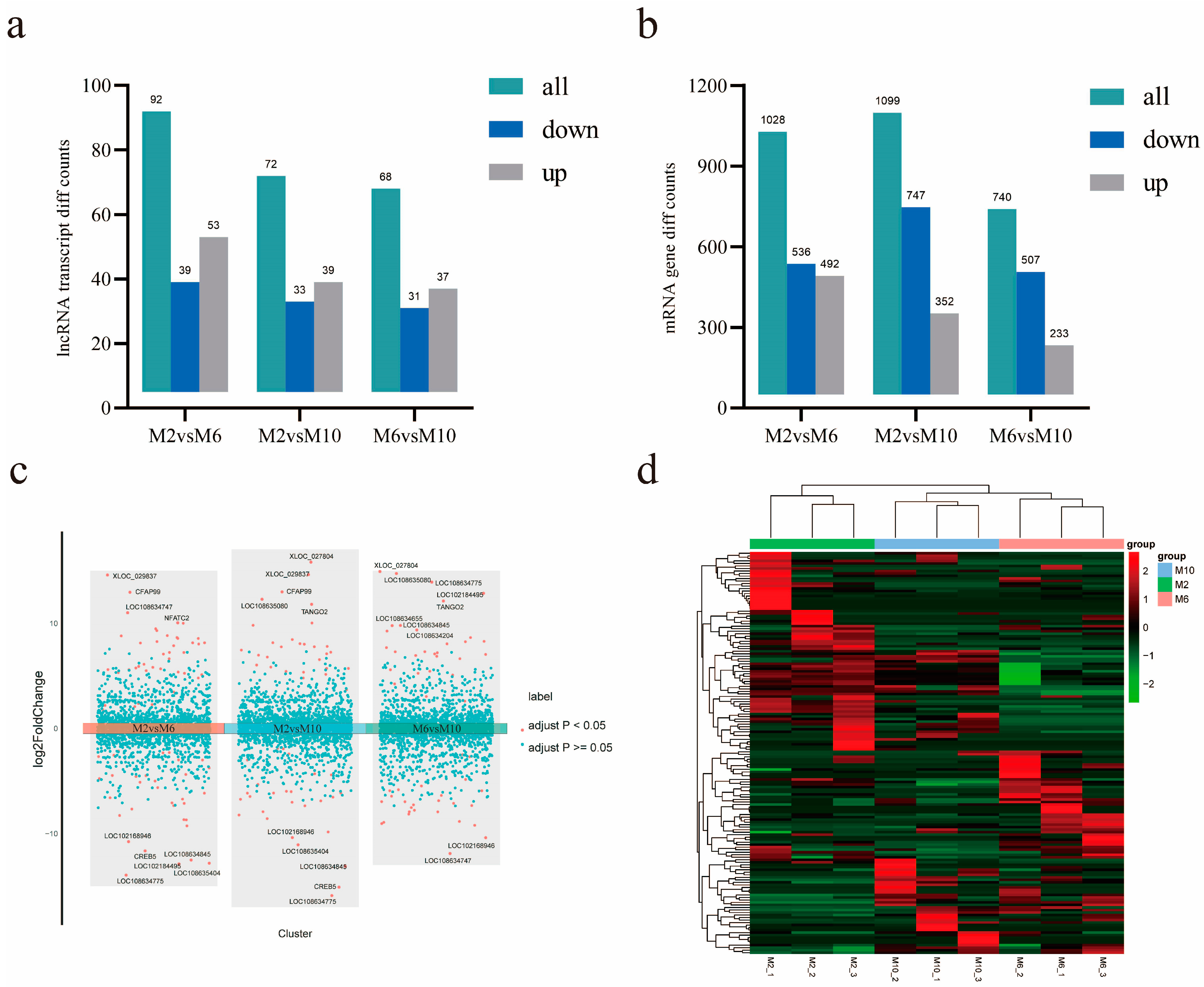 Animals 14 03125 g004