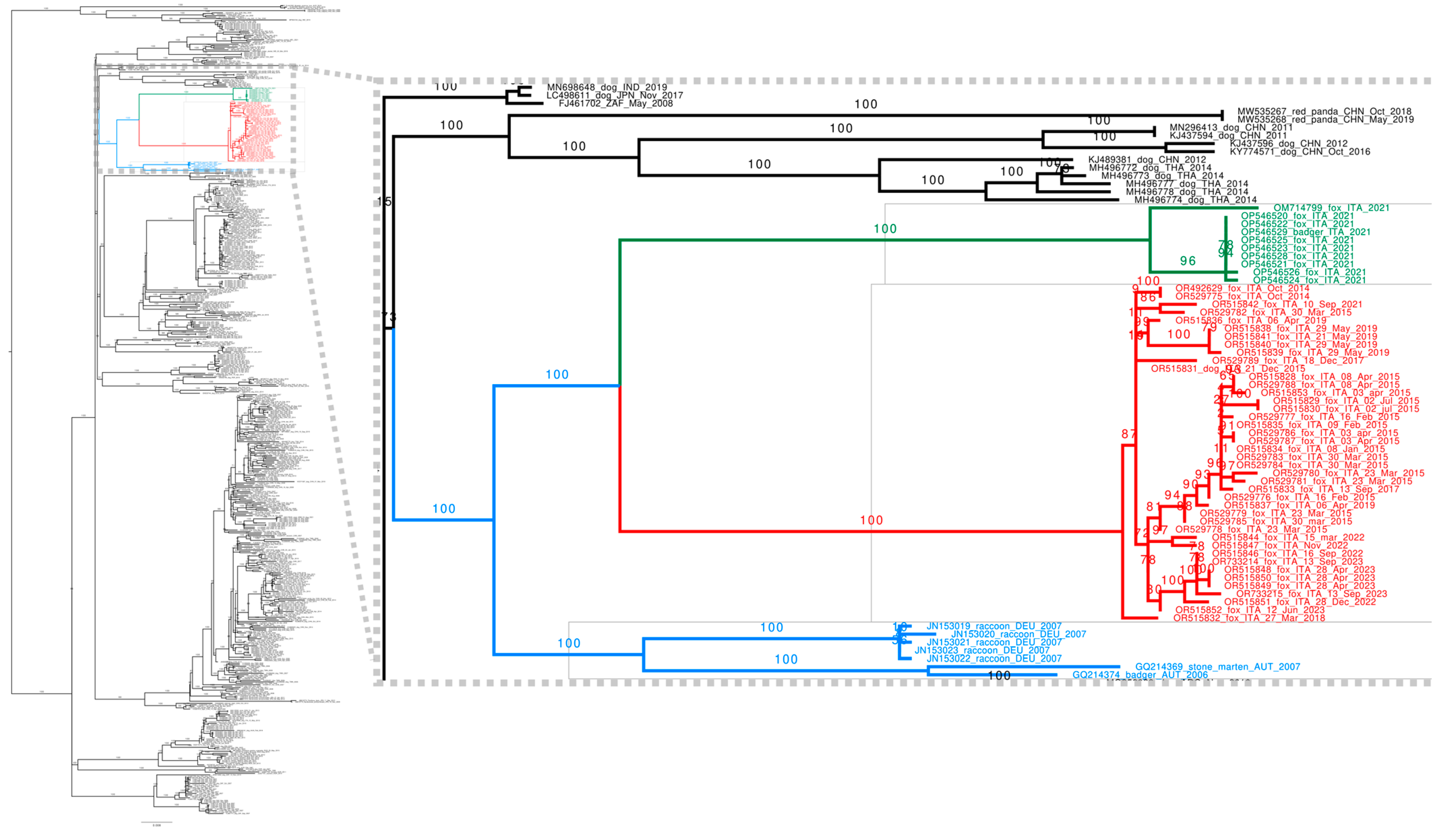 Animals 14 03134 g007