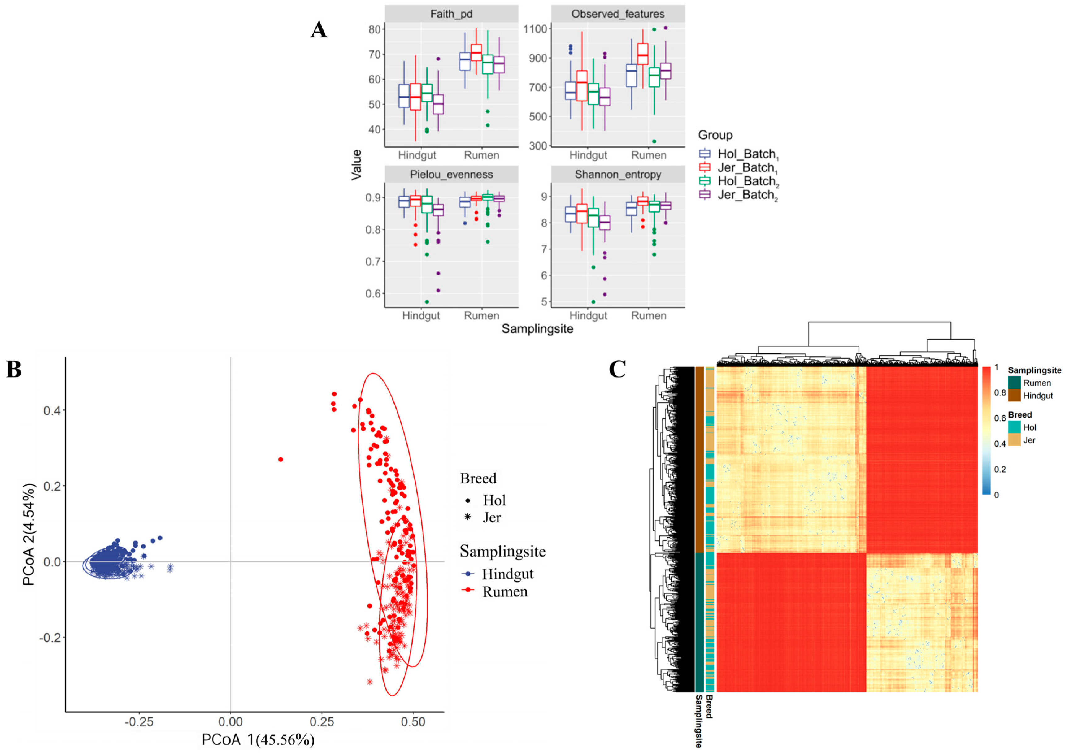 Animals 14 03137 g001