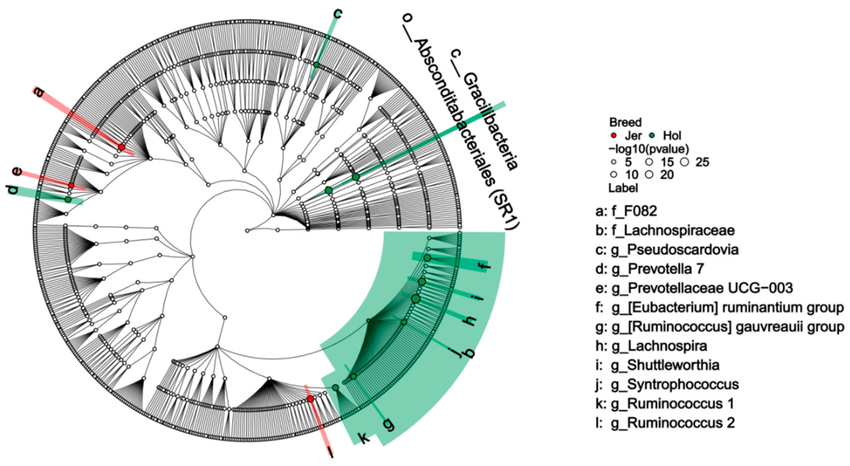 Animals 14 03137 g005
