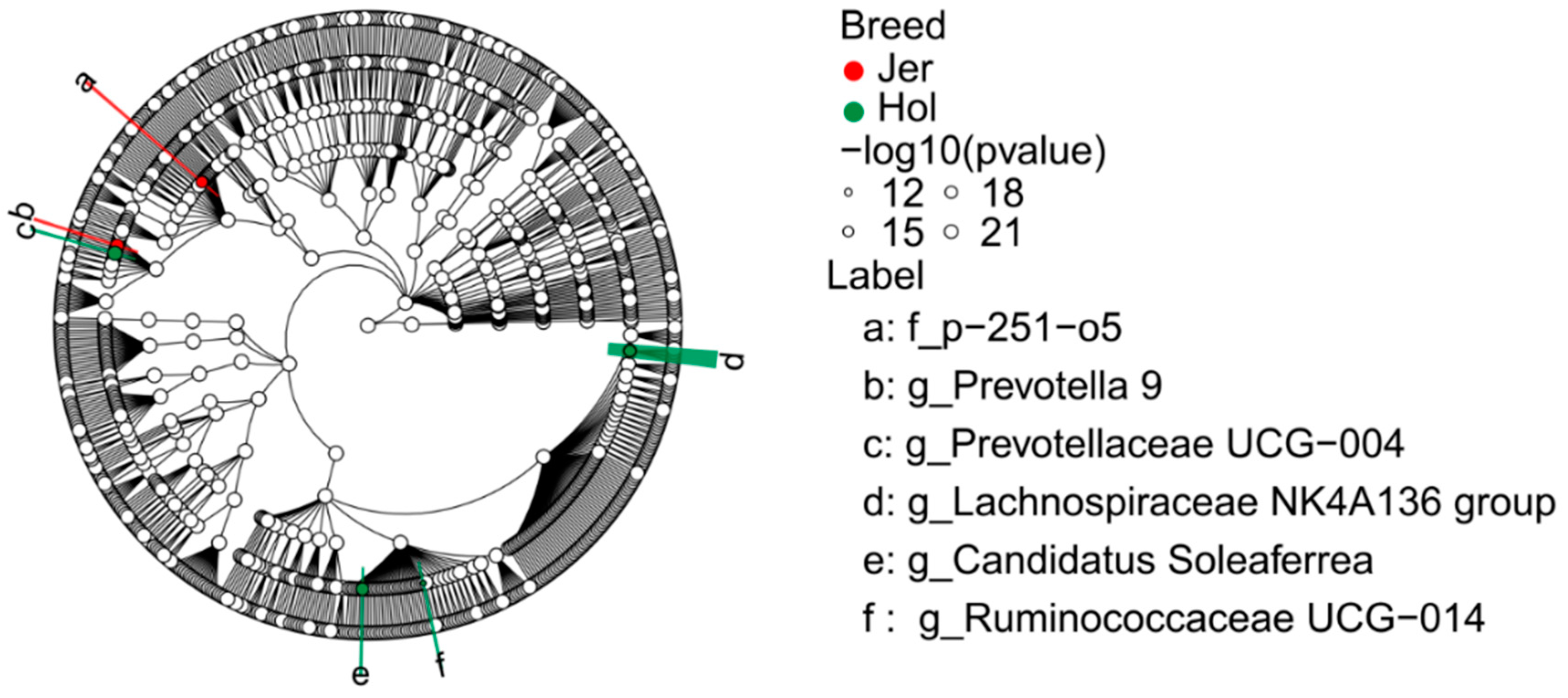 Animals 14 03137 g007